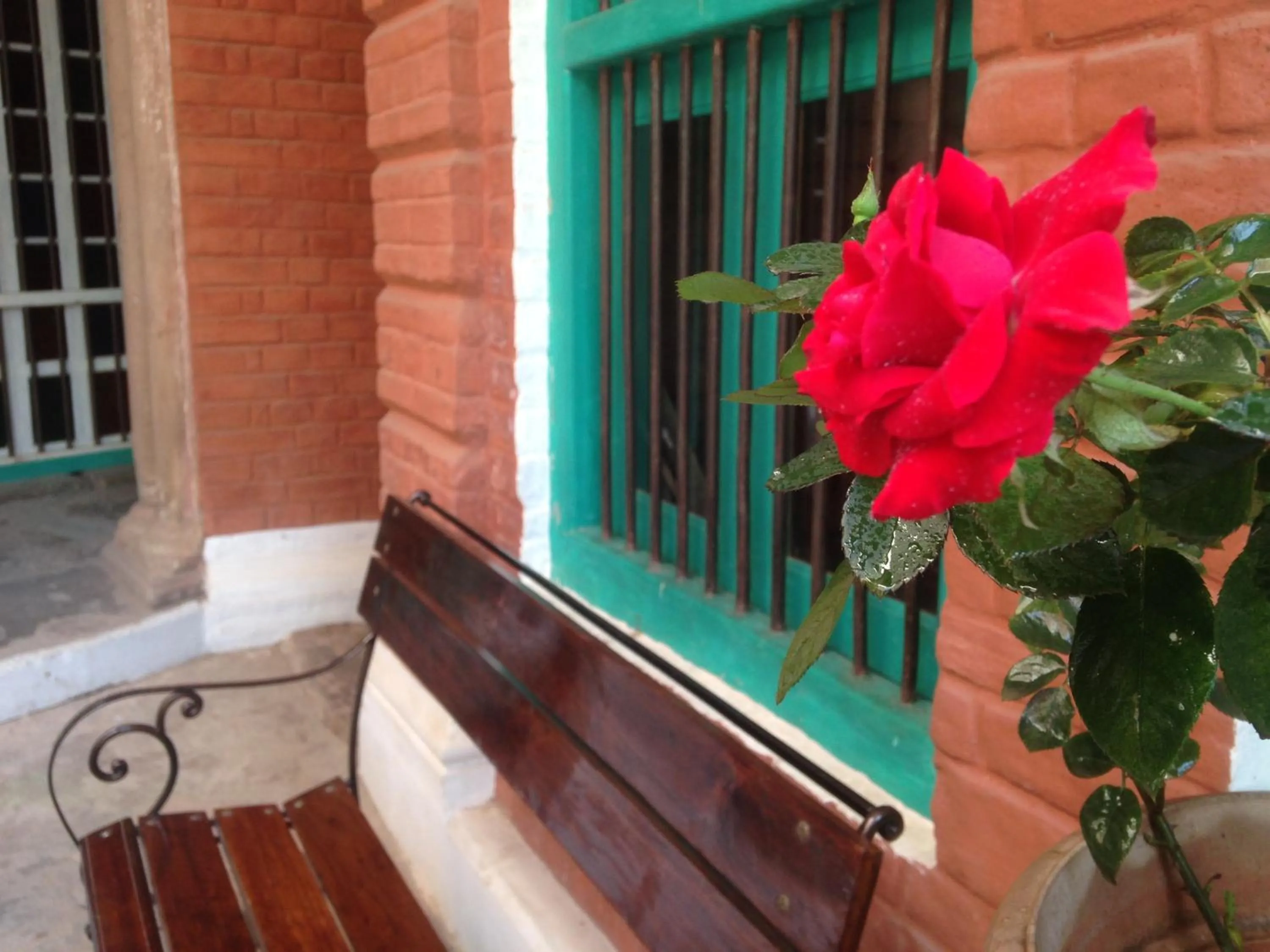 Facade/entrance in Rose Heritage Home