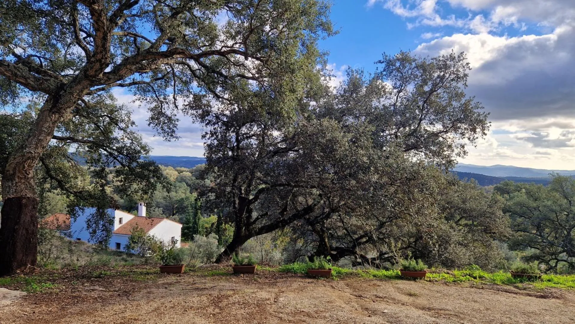 Bird's eye view in Casa Rural La Era 3 - Adults Only