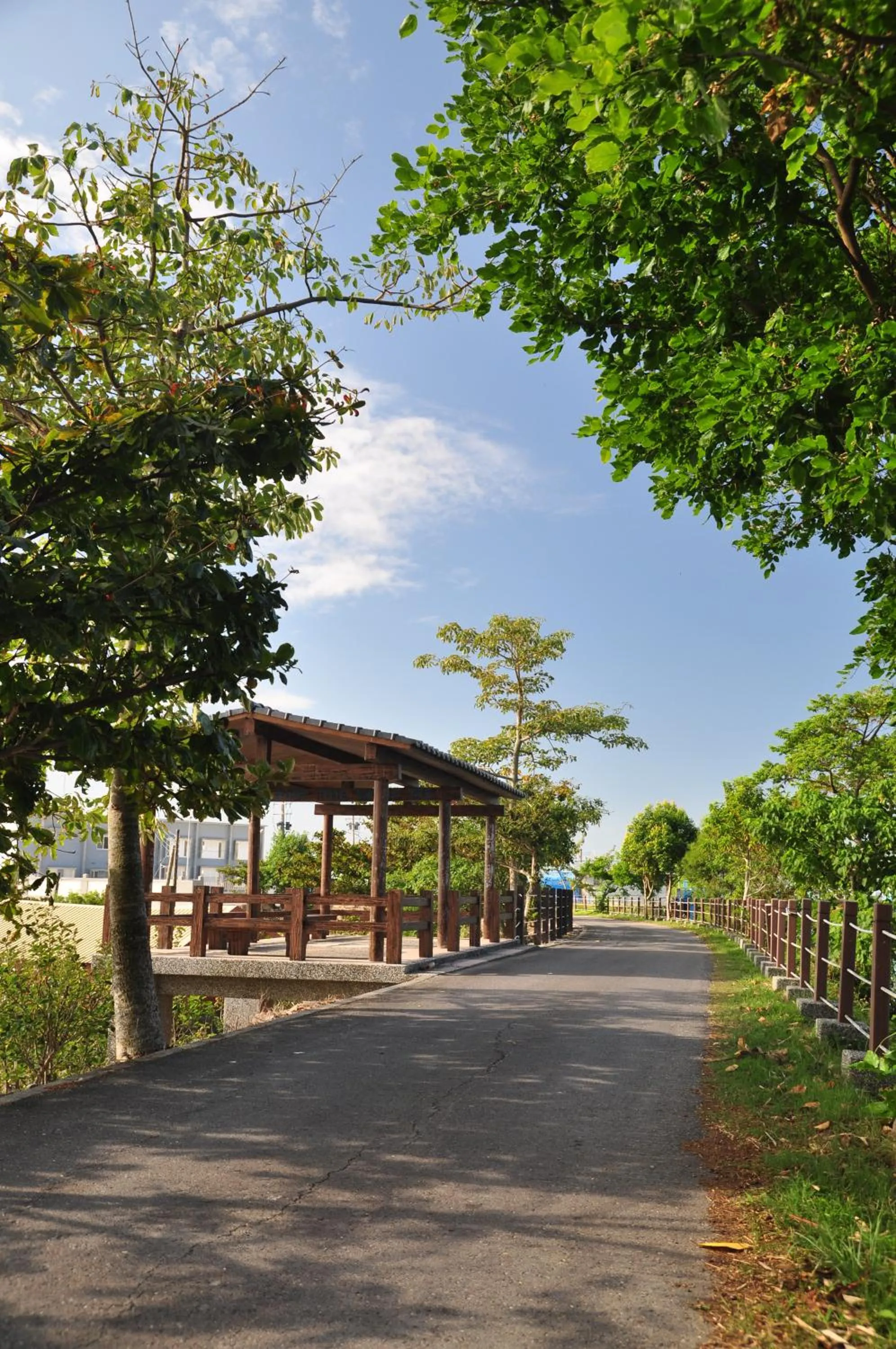 Spring in Star Shine B&B