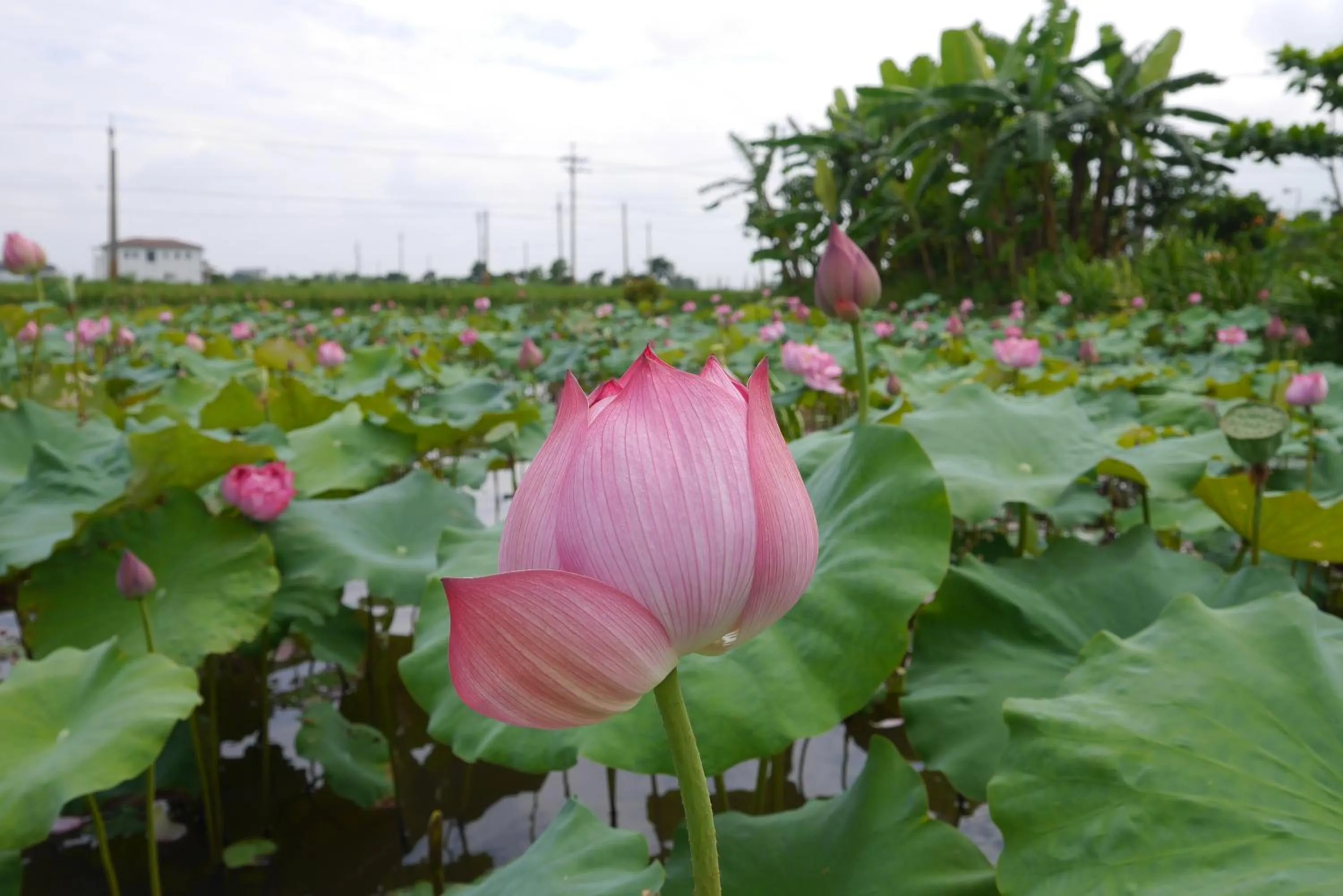 Property building in Star Shine B&B