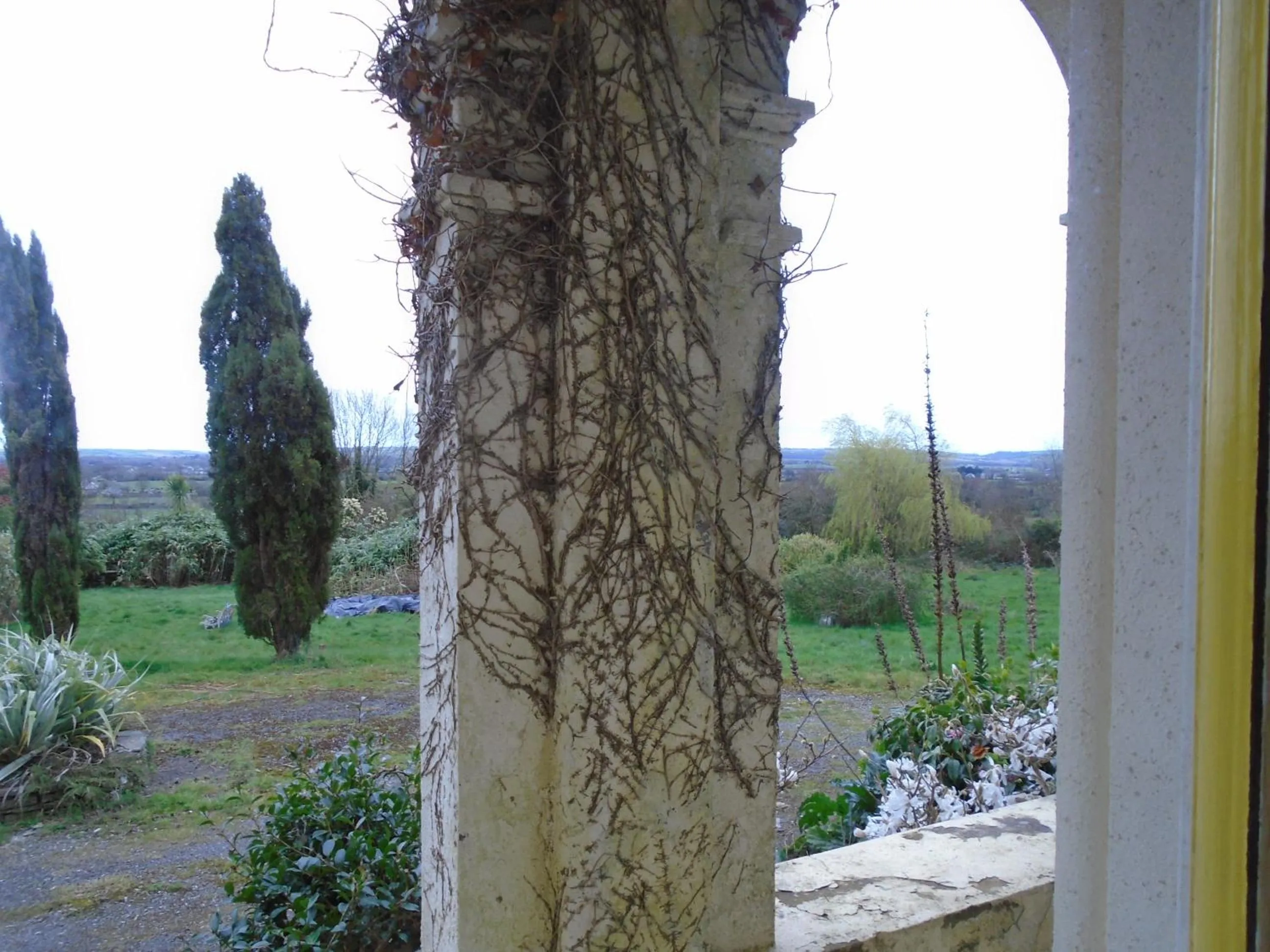 Natural landscape in Ballynona House