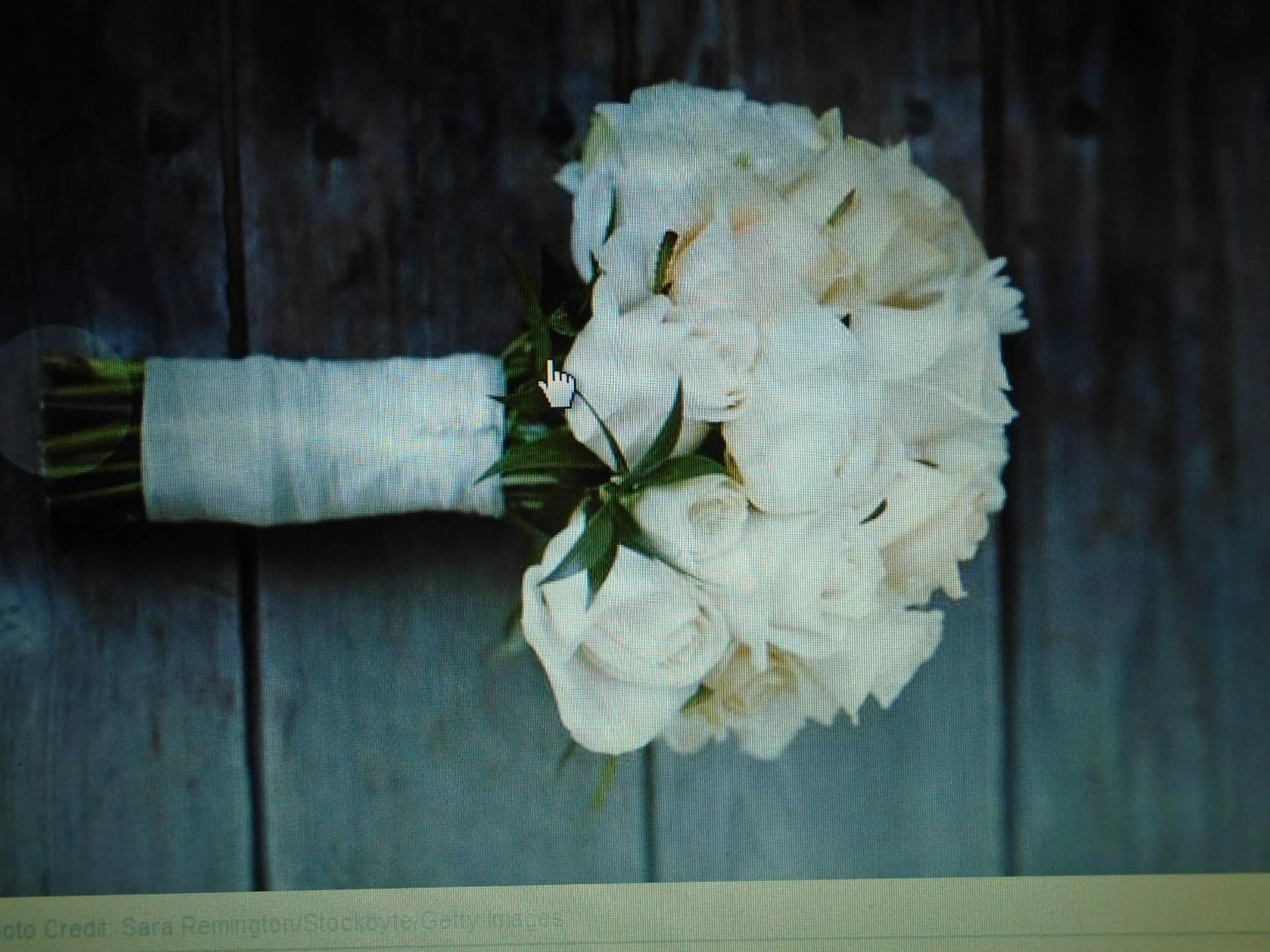 Seasons in Ballynona House