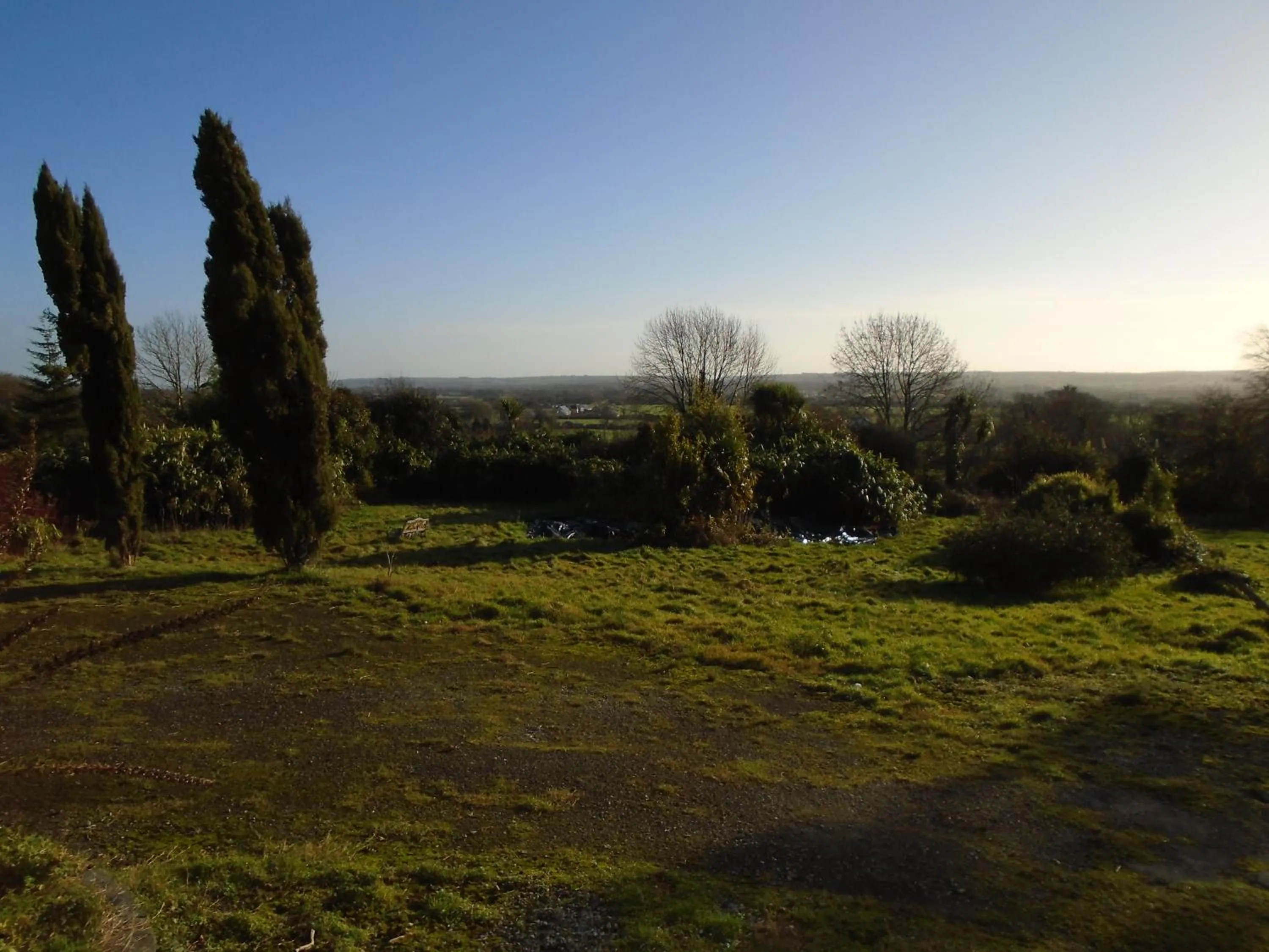 Natural landscape in Ballynona House
