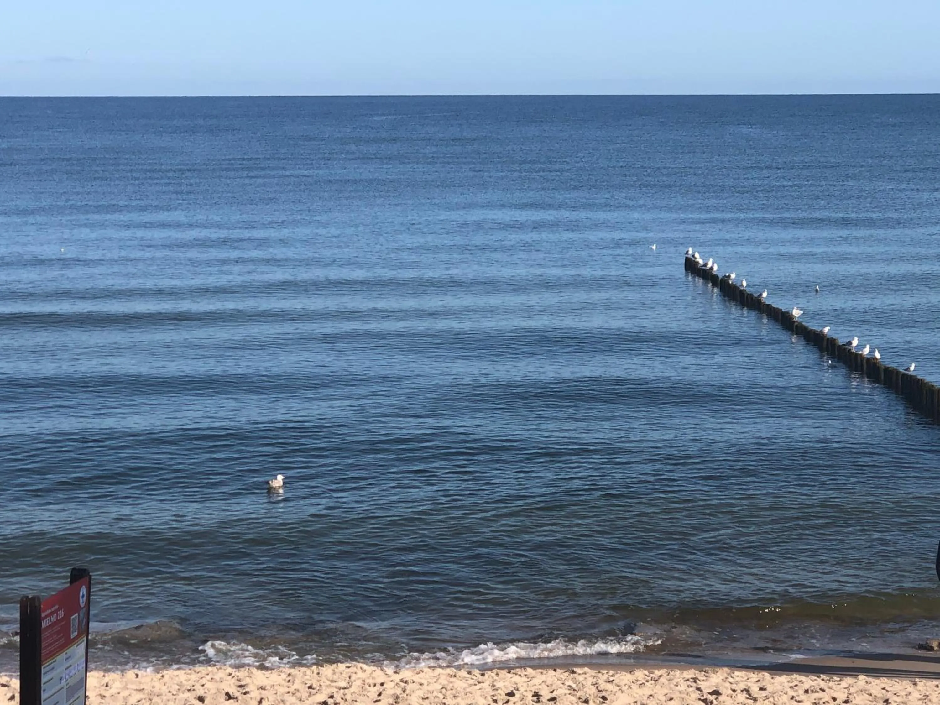 Natural landscape in Gościniec Kaszebe