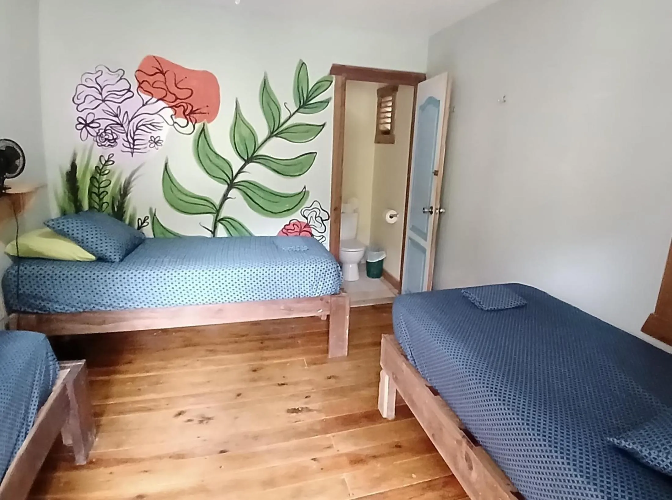 Single Bed in Mixed Dormitory Room in Roatan Backpackers' Hostel
