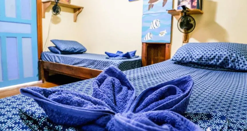 Single Bed in Mixed Dormitory Room in Roatan Backpackers' Hostel