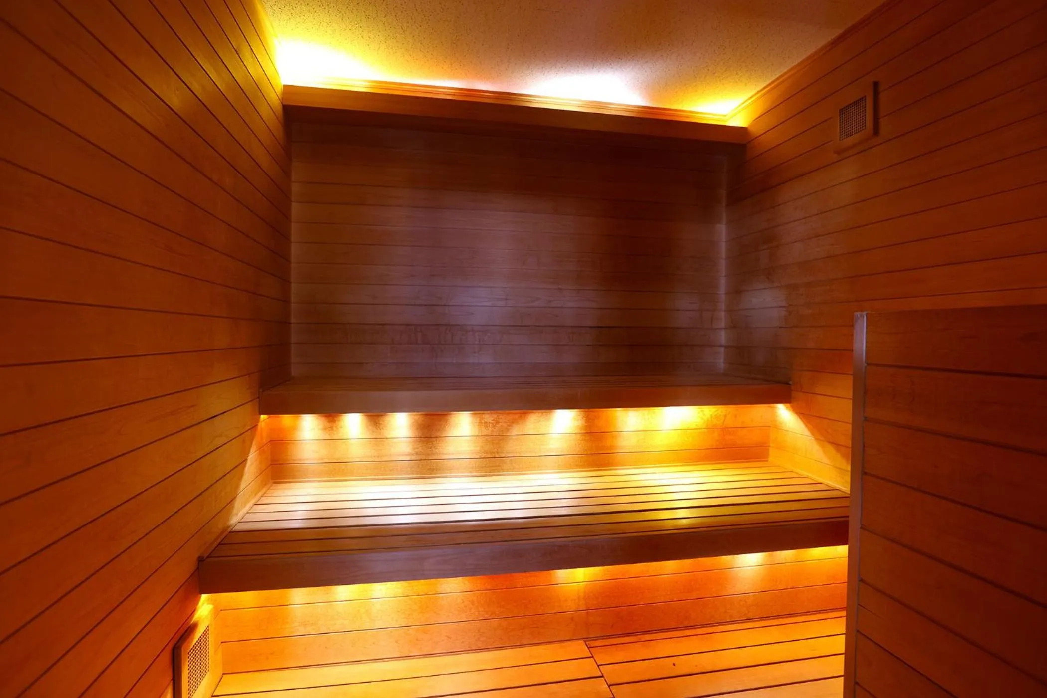 Sauna in Ooedo Onsen Monogatari Premium Yamashitaya