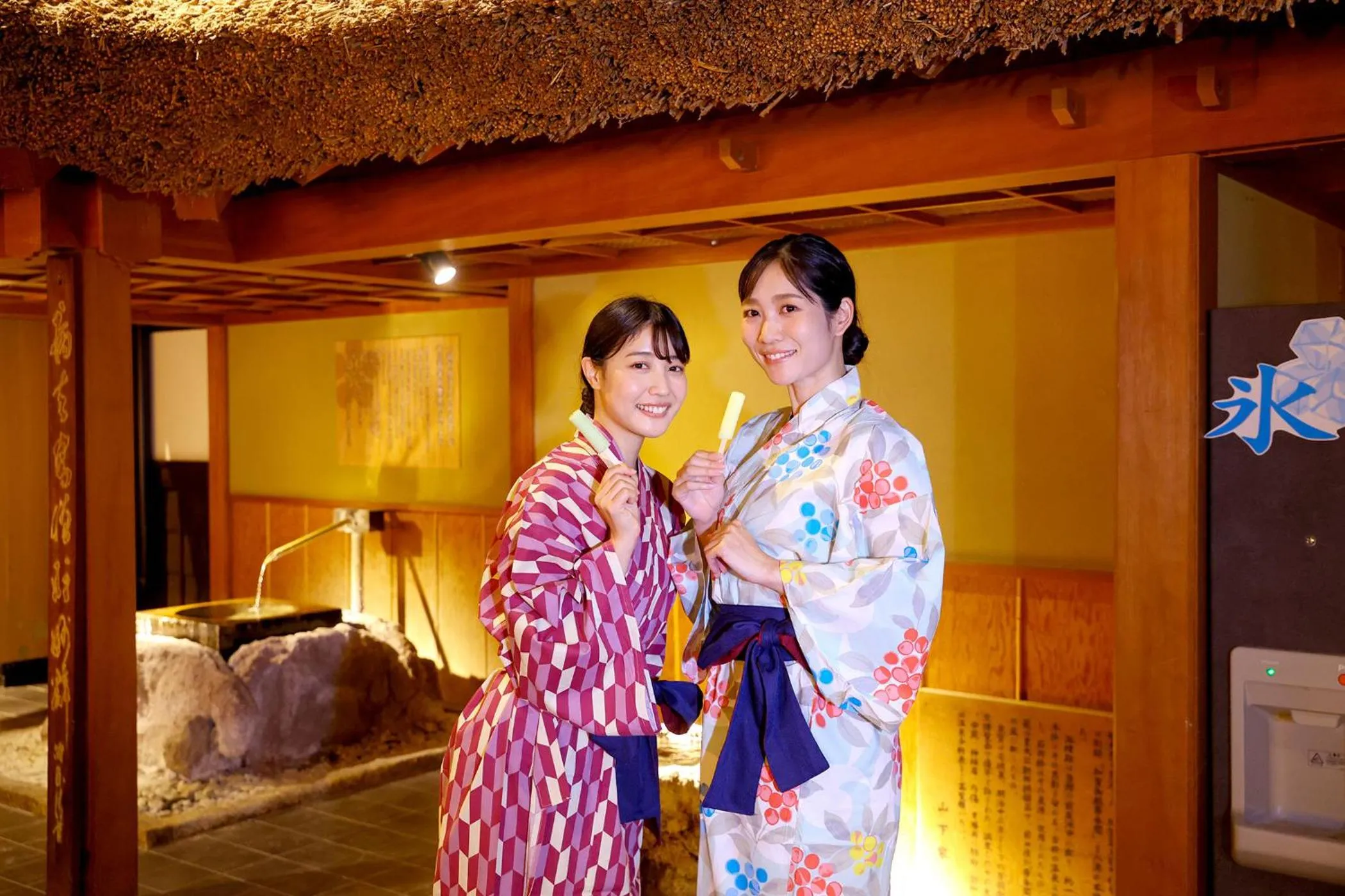 Area and facilities in Ooedo Onsen Monogatari Premium Yamashitaya