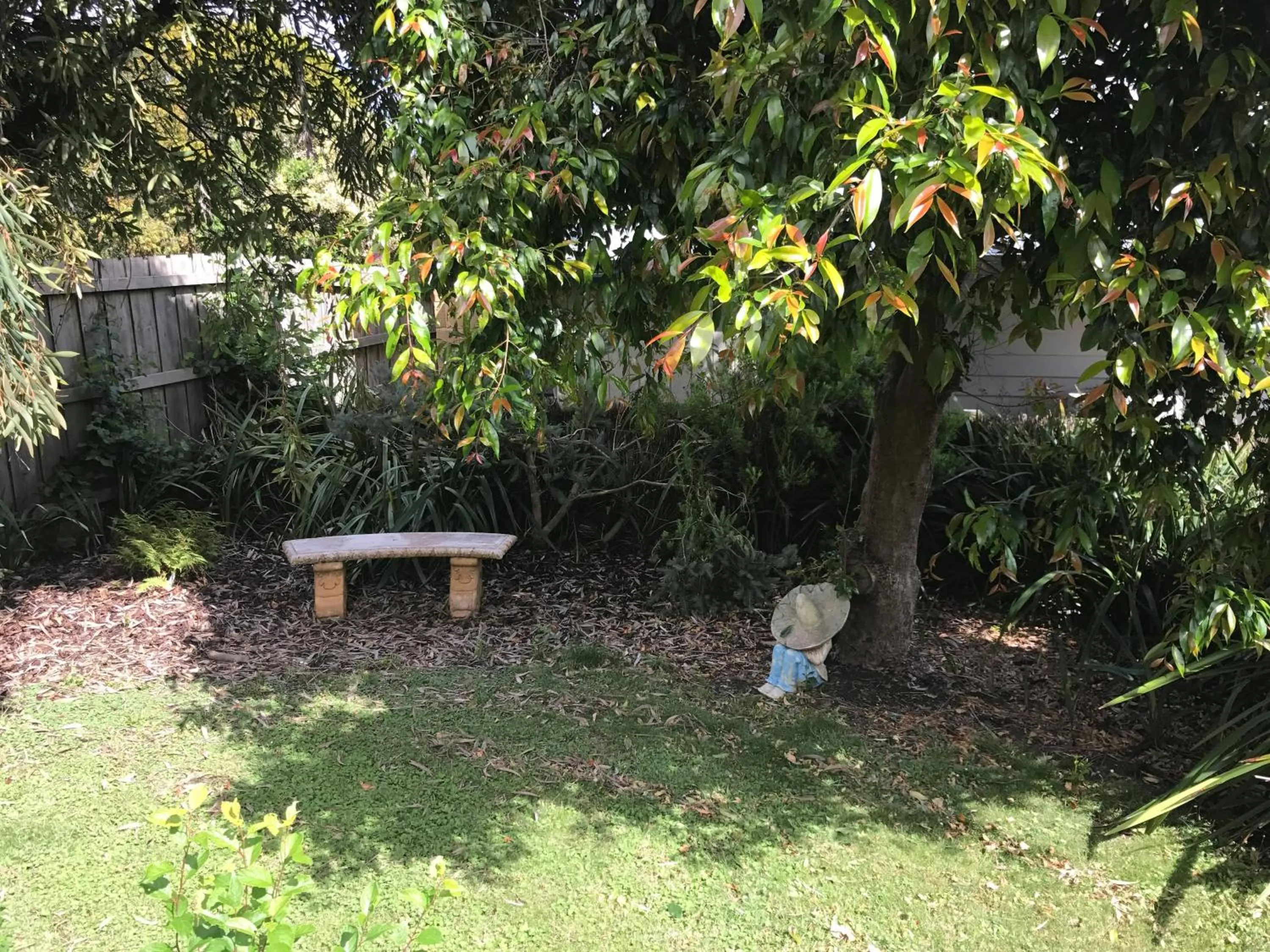 Area and facilities in Port Campbell Guesthouse & Flash Packers