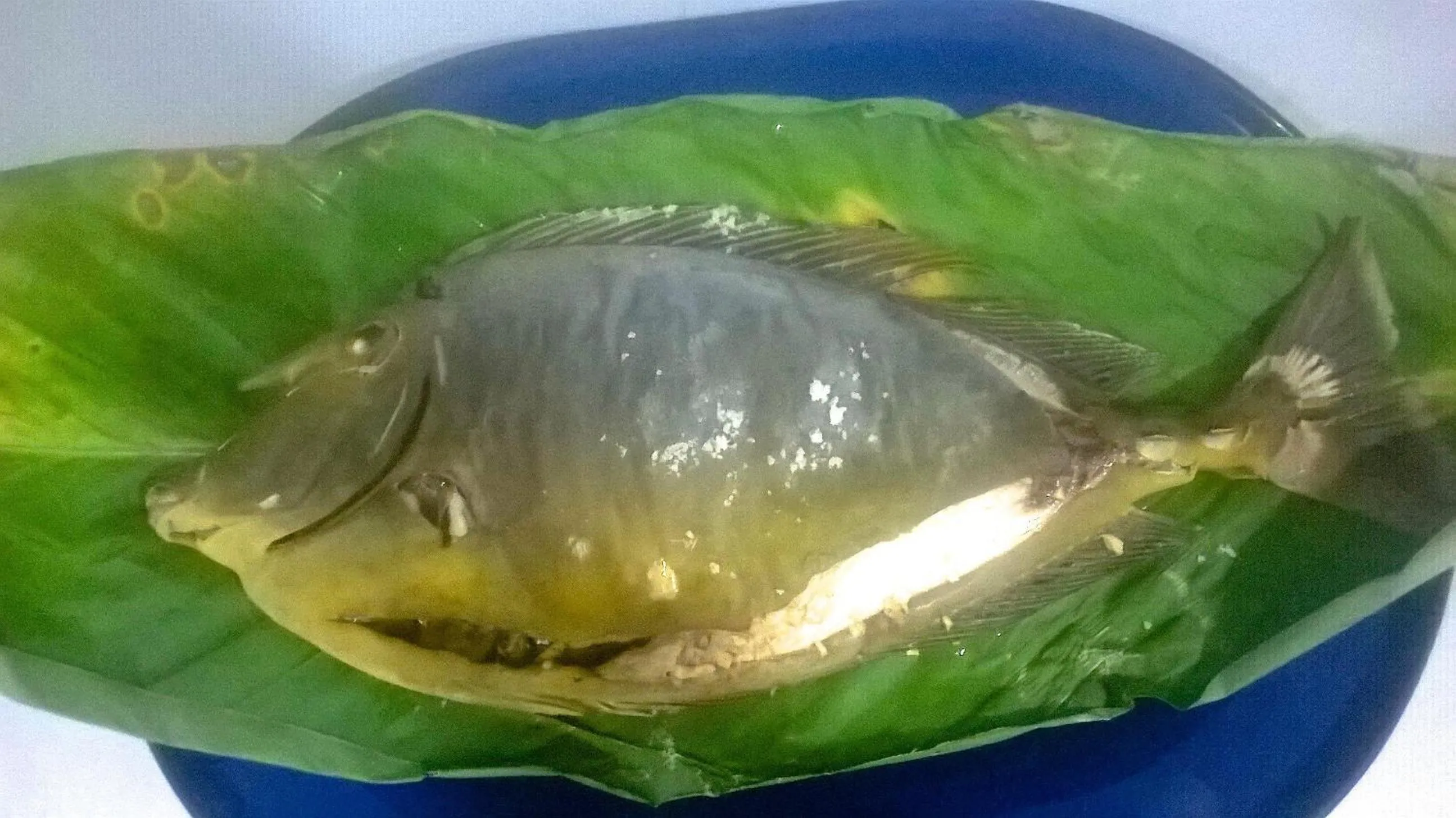 Restaurant/places to eat in Evis Resort at Nggatirana Island