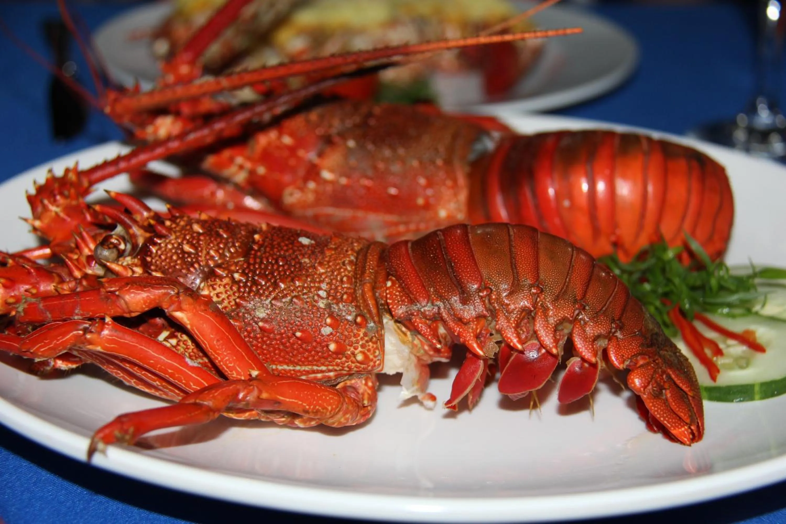 Restaurant/places to eat in Evis Resort at Nggatirana Island