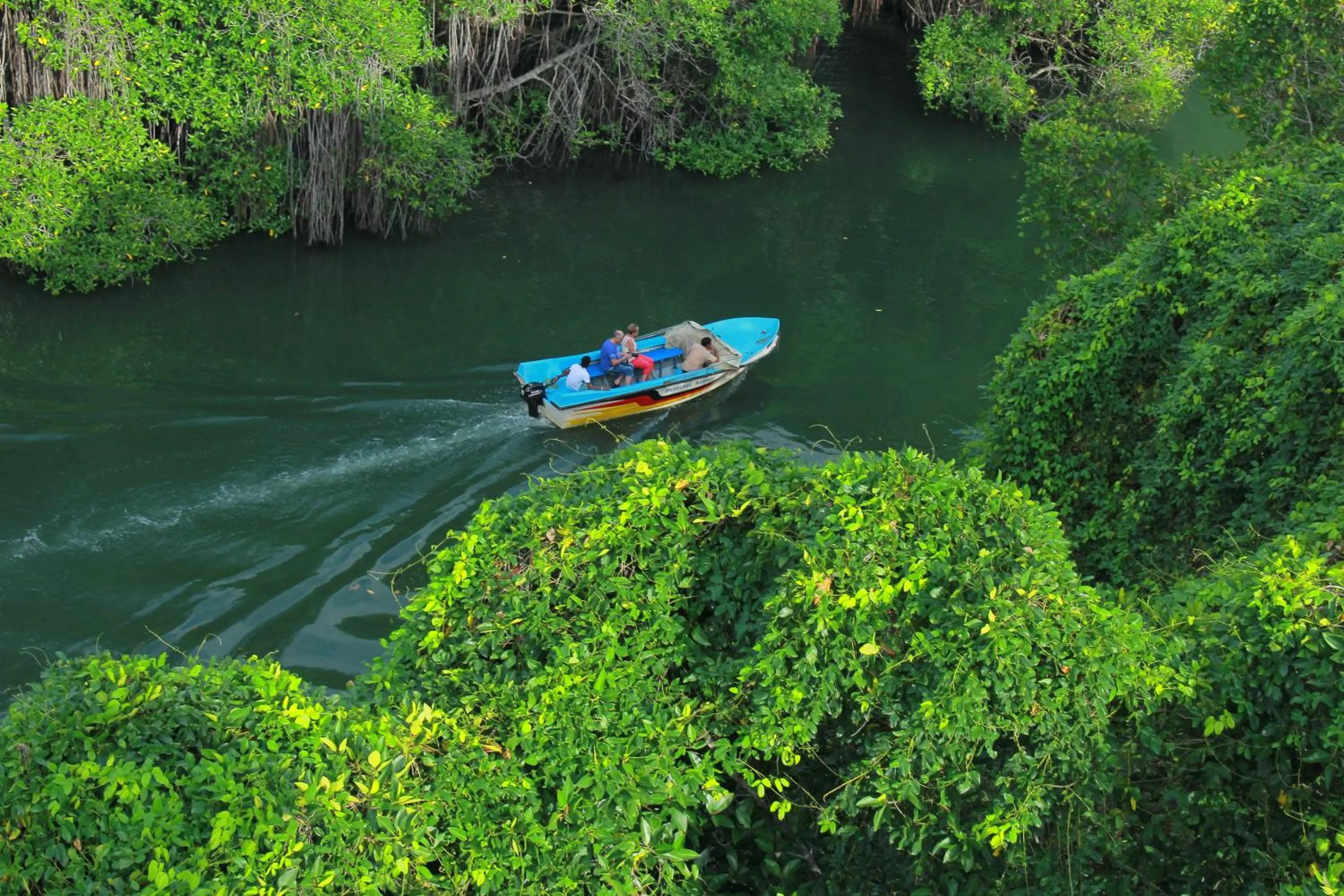 Natural landscape in Arena Hotel