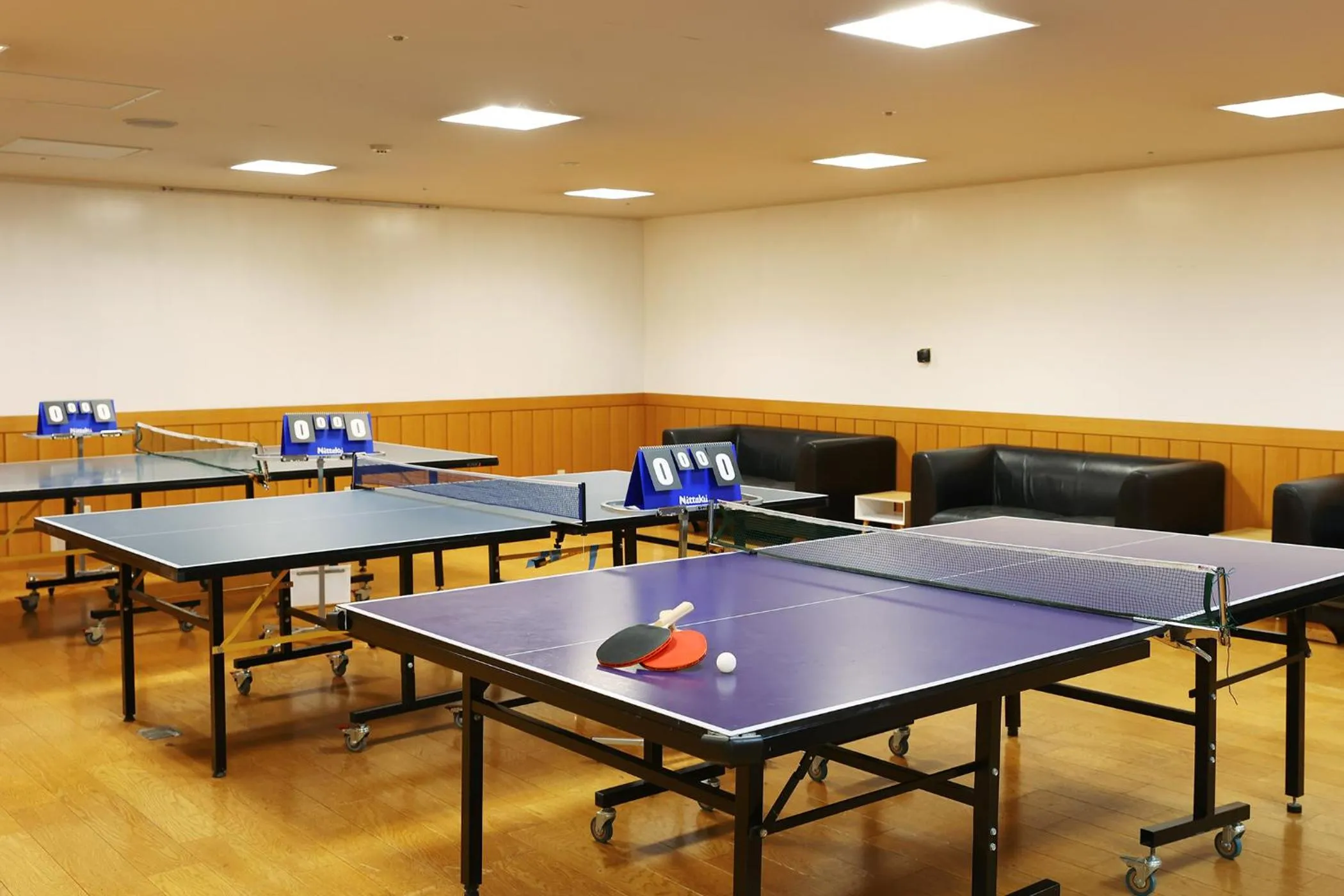 Table tennis in TAOYA Nikko Kirifuri