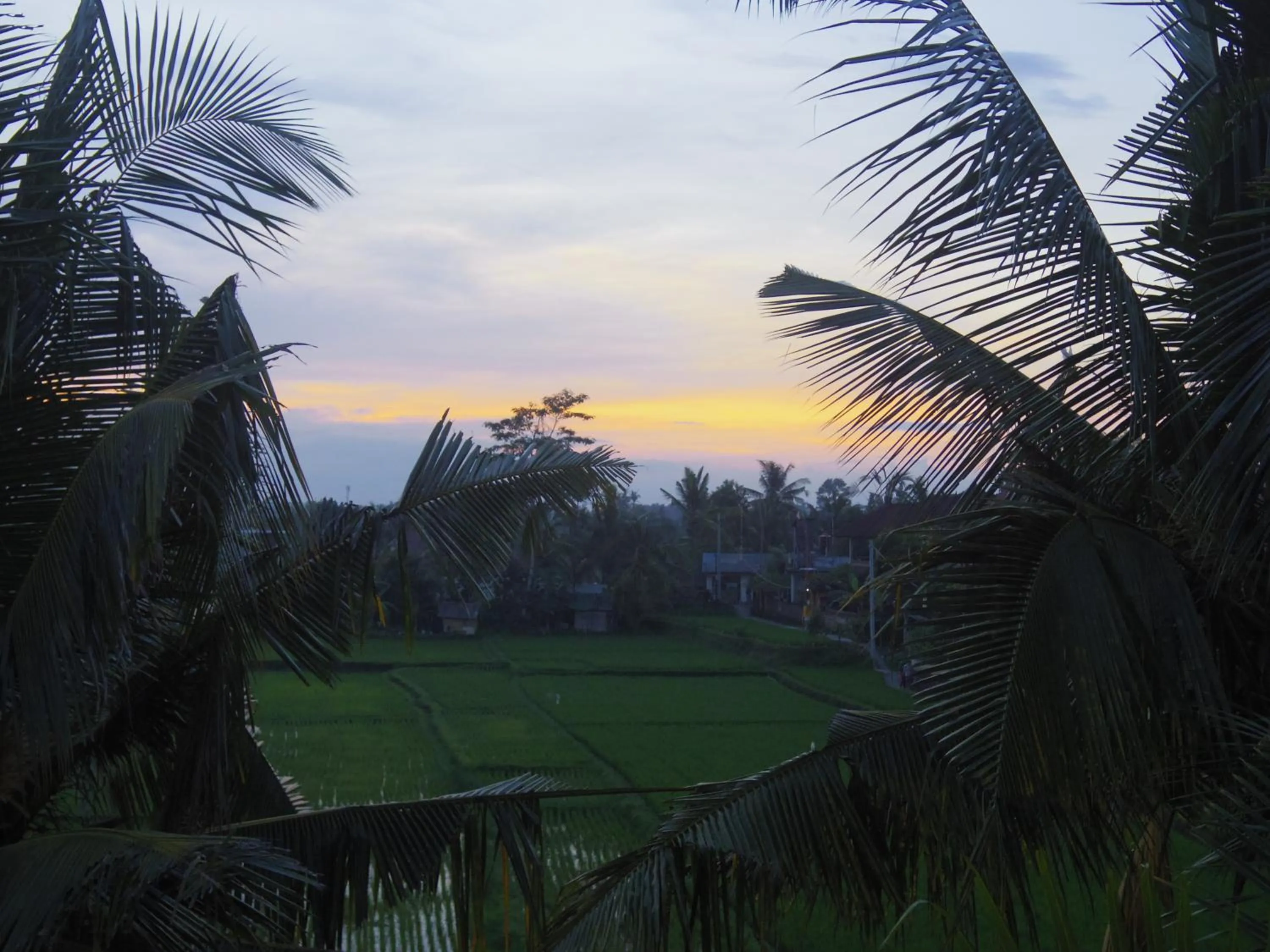 Balcony/Terrace in Eden House Ubud