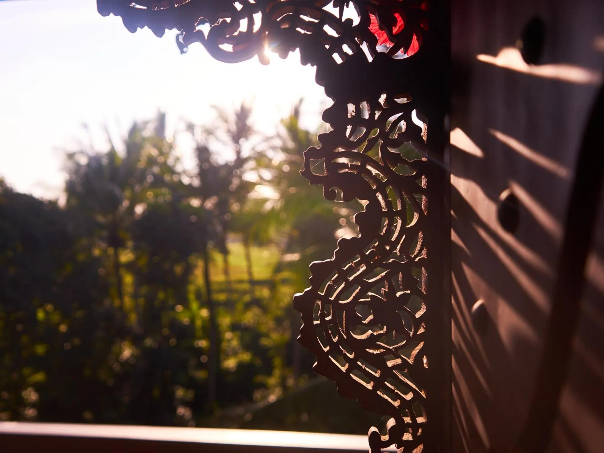 Garden view in Eden House Ubud
