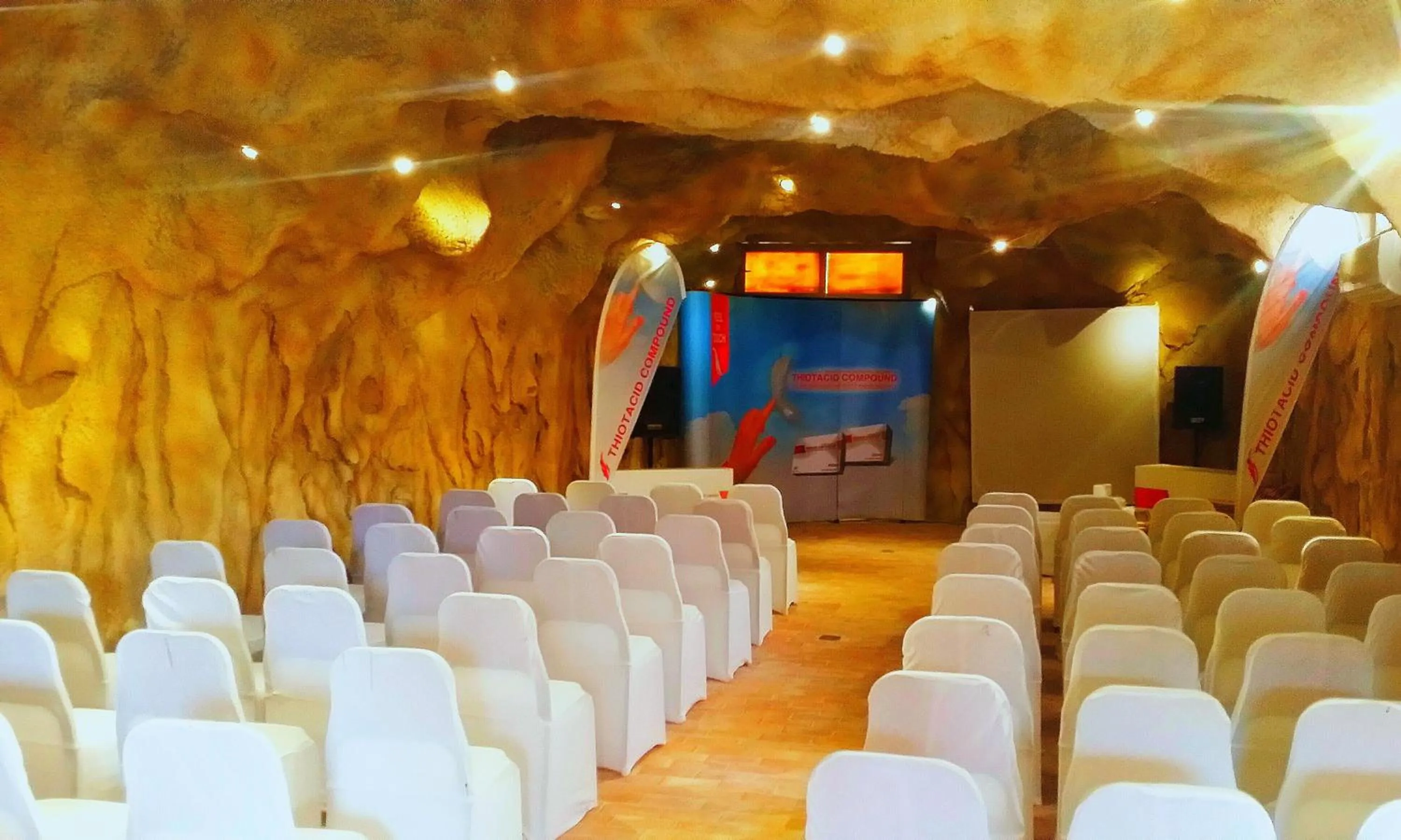 Business facilities in Caves Beach Resort Adults Only