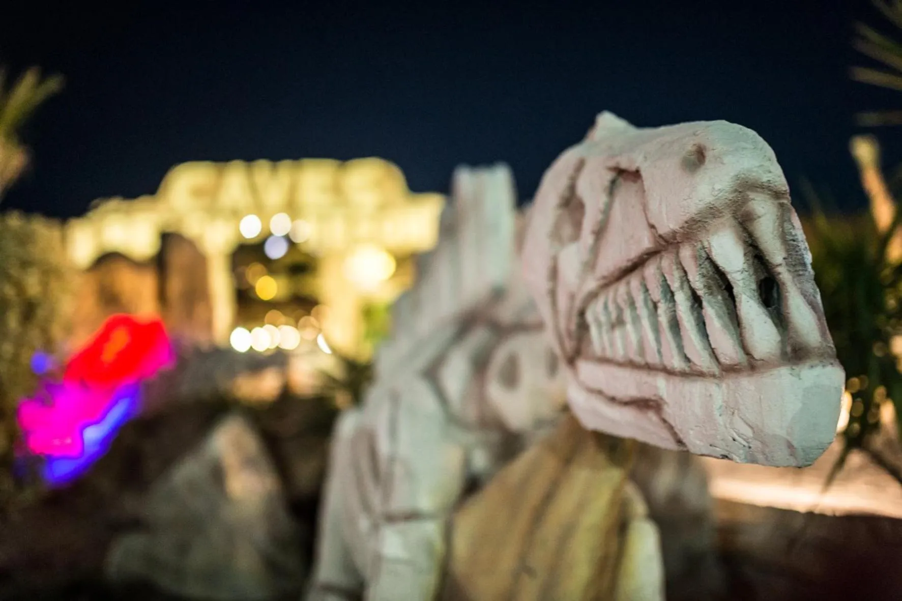 Garden in Caves Beach Resort Adults Only