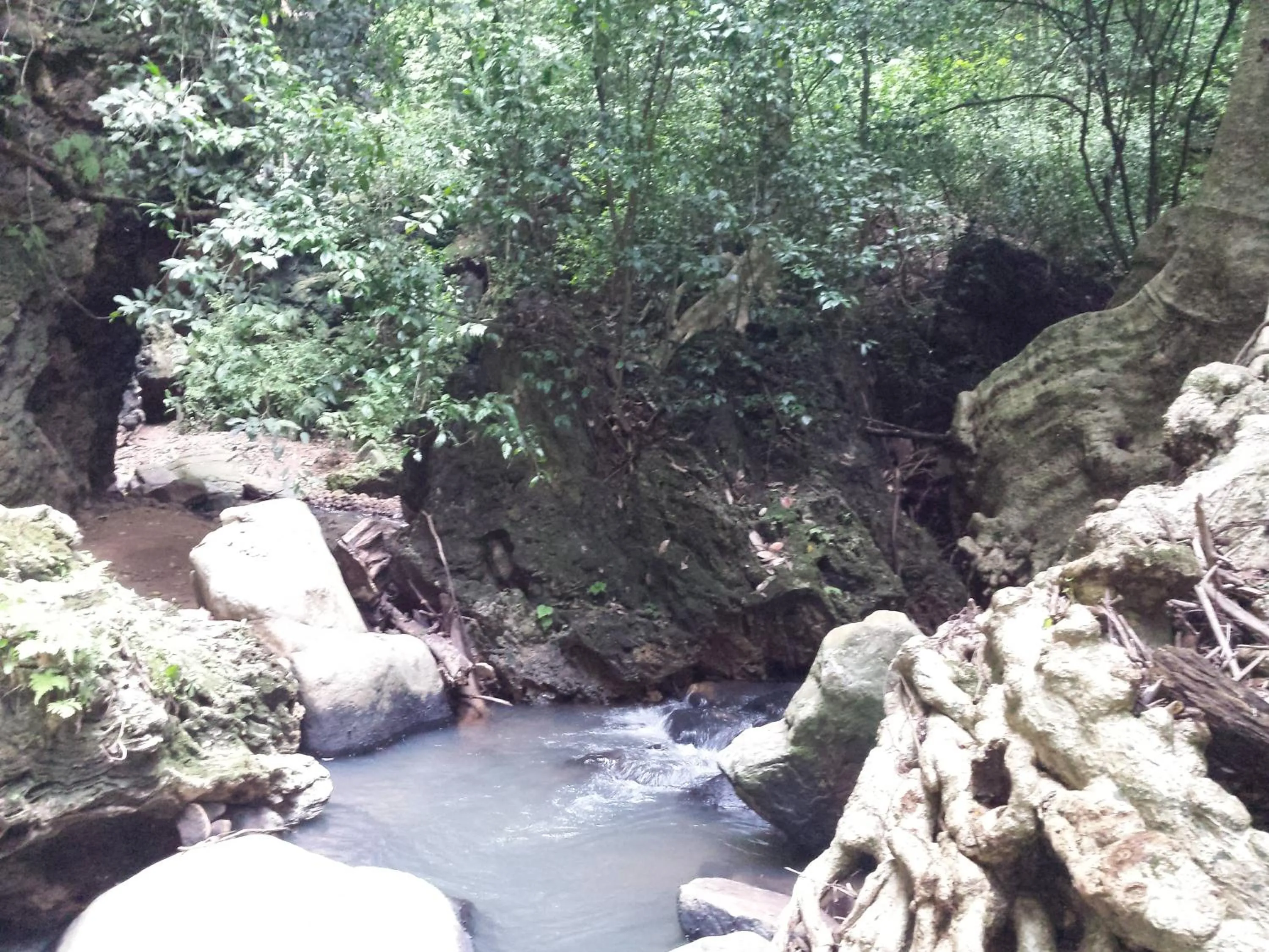 Activities in Greenwood Udawalawa Safari Resort