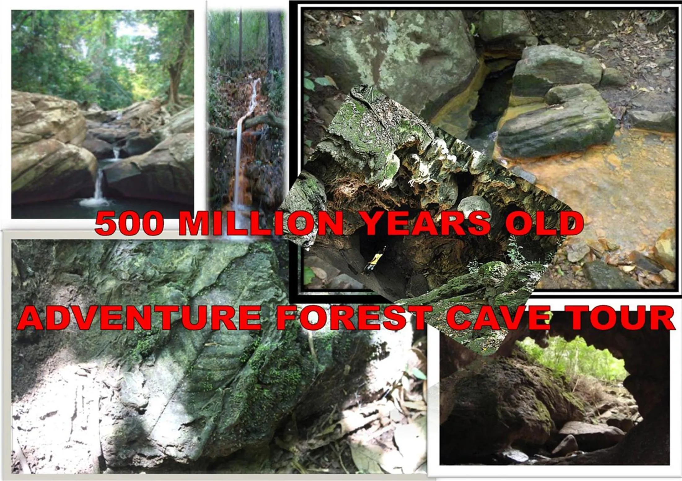 Activities in Greenwood Udawalawa Safari Resort