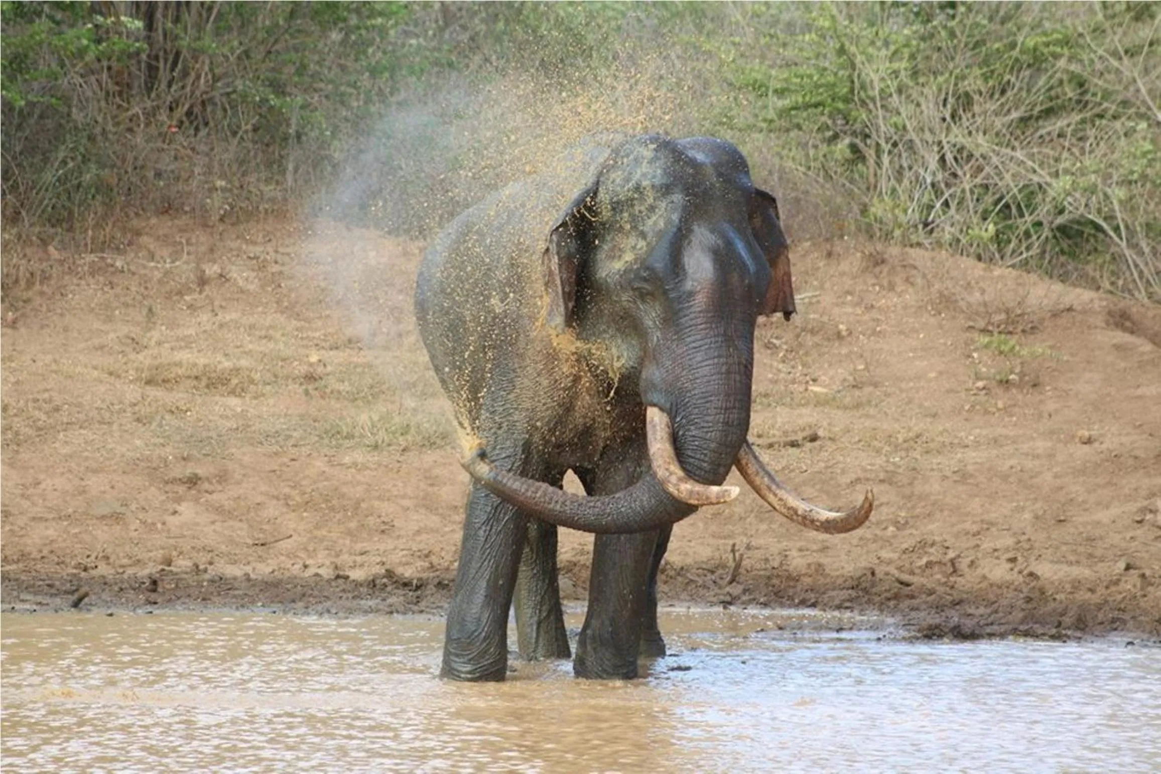 Off site in Greenwood Udawalawa Safari Resort