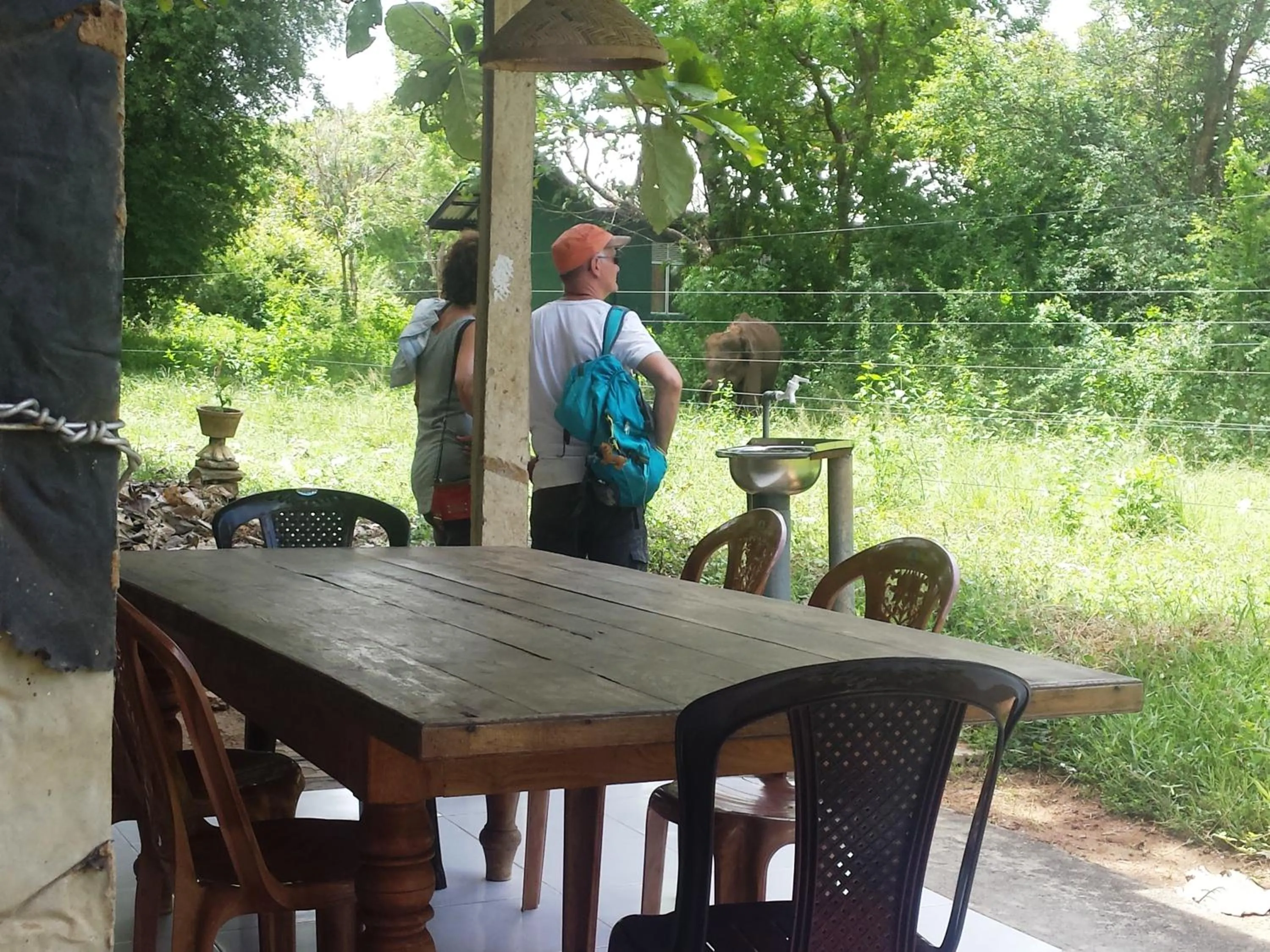 View (from property/room) in Greenwood Udawalawa Safari Resort