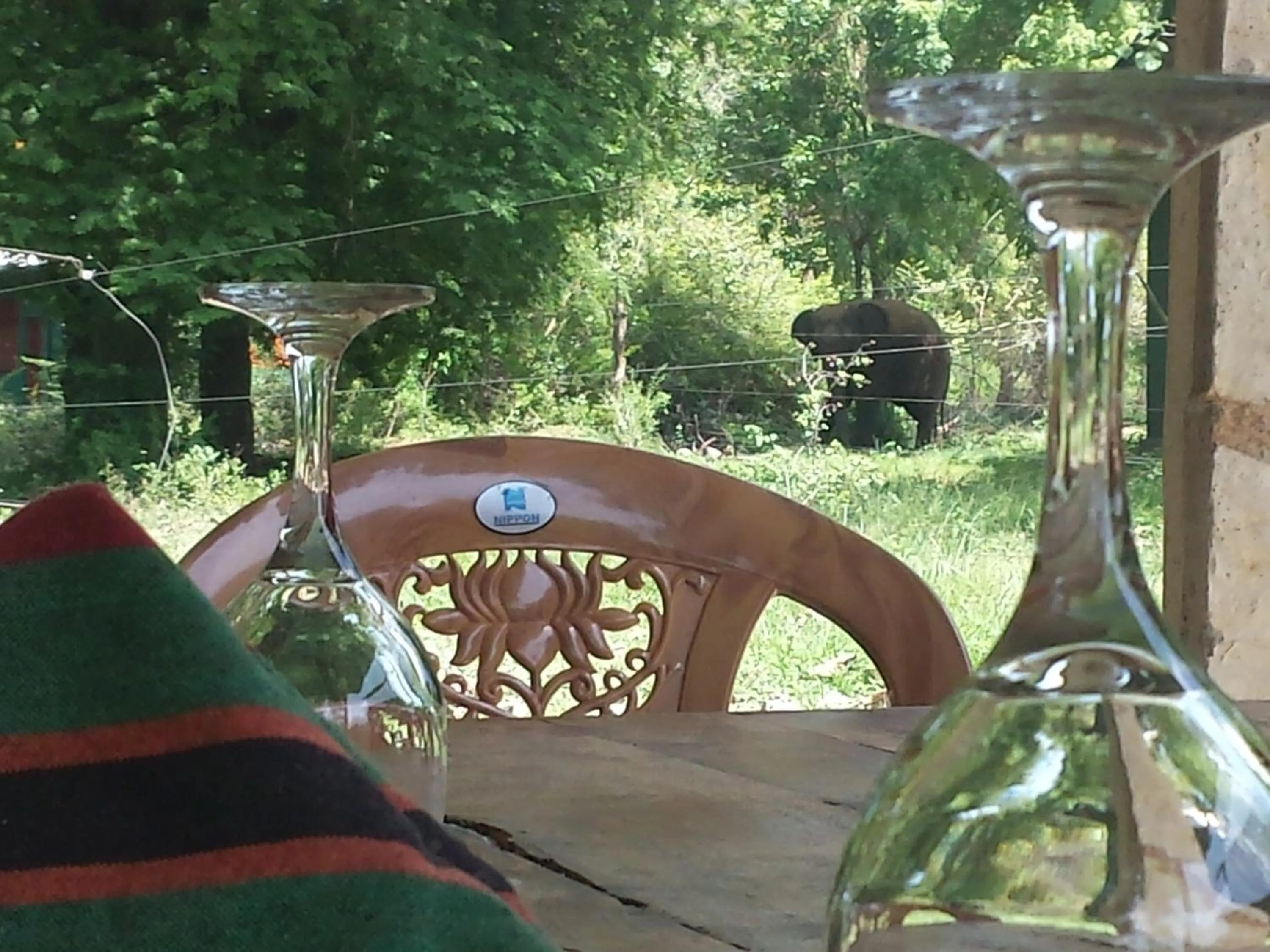 Garden view in Greenwood Udawalawa Safari Resort