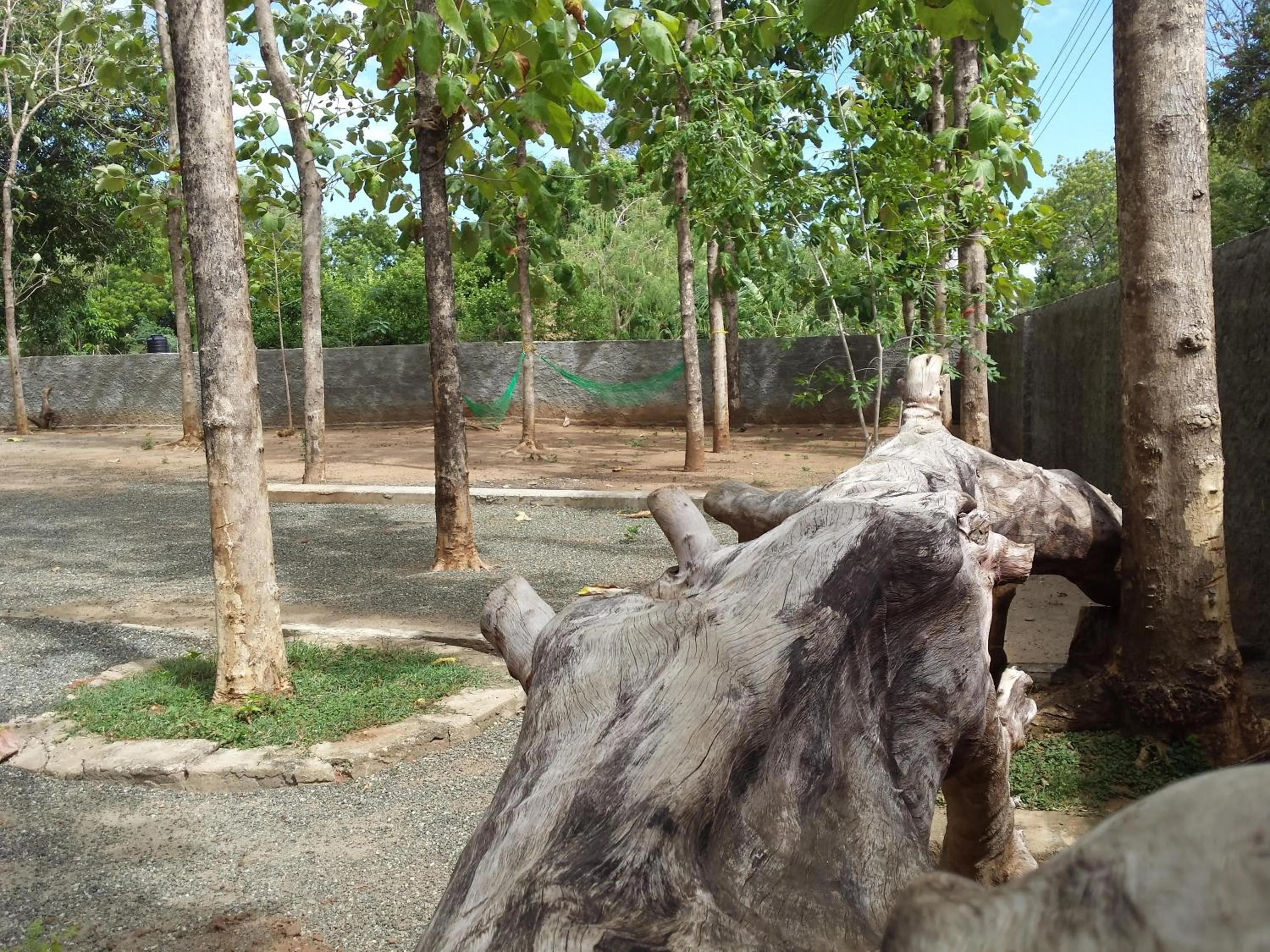Garden in Greenwood Udawalawa Safari Resort