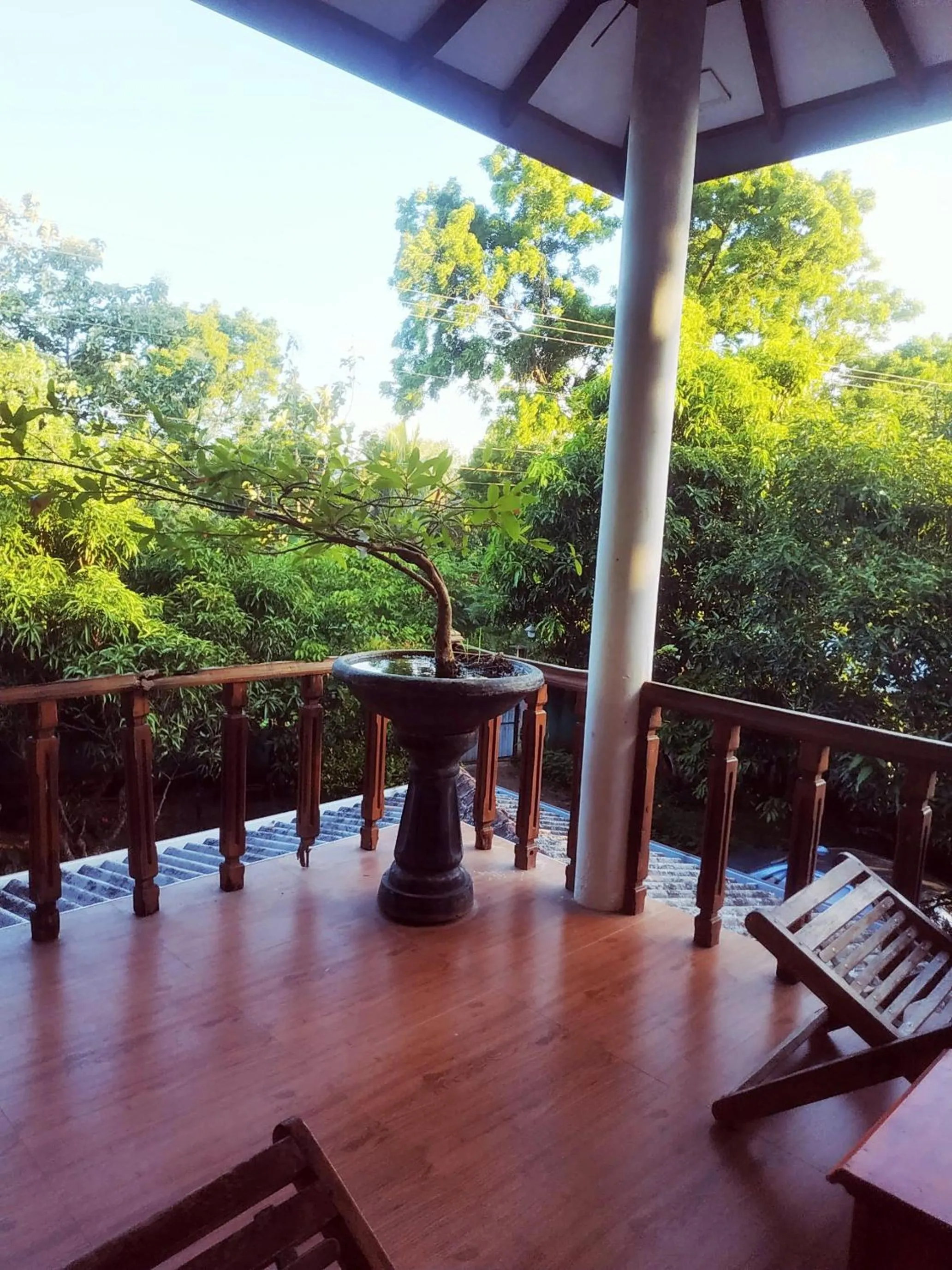 Balcony/Terrace in Greenwood Udawalawa Safari Resort