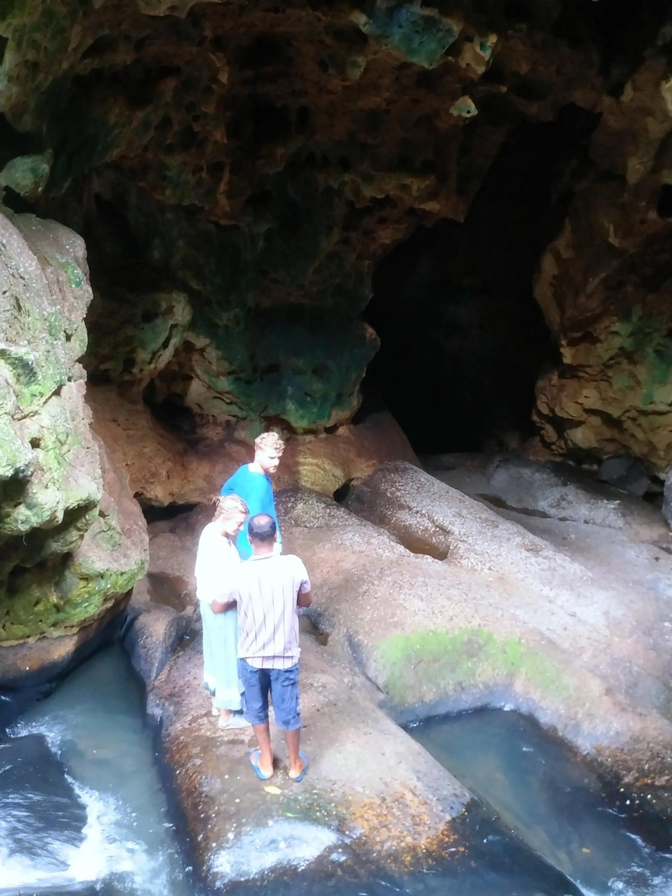 Day in Greenwood Udawalawa Safari Resort