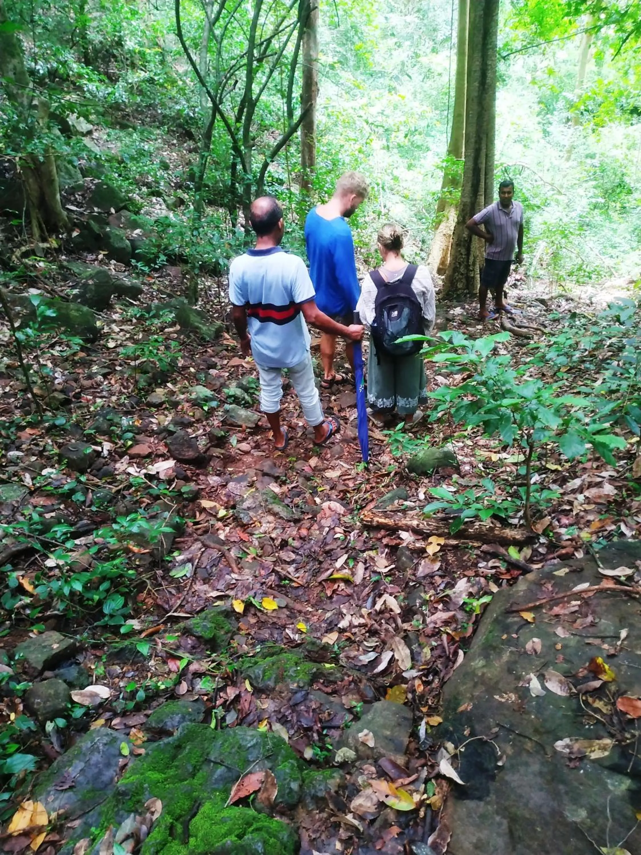 Activities in Greenwood Udawalawa Safari Resort