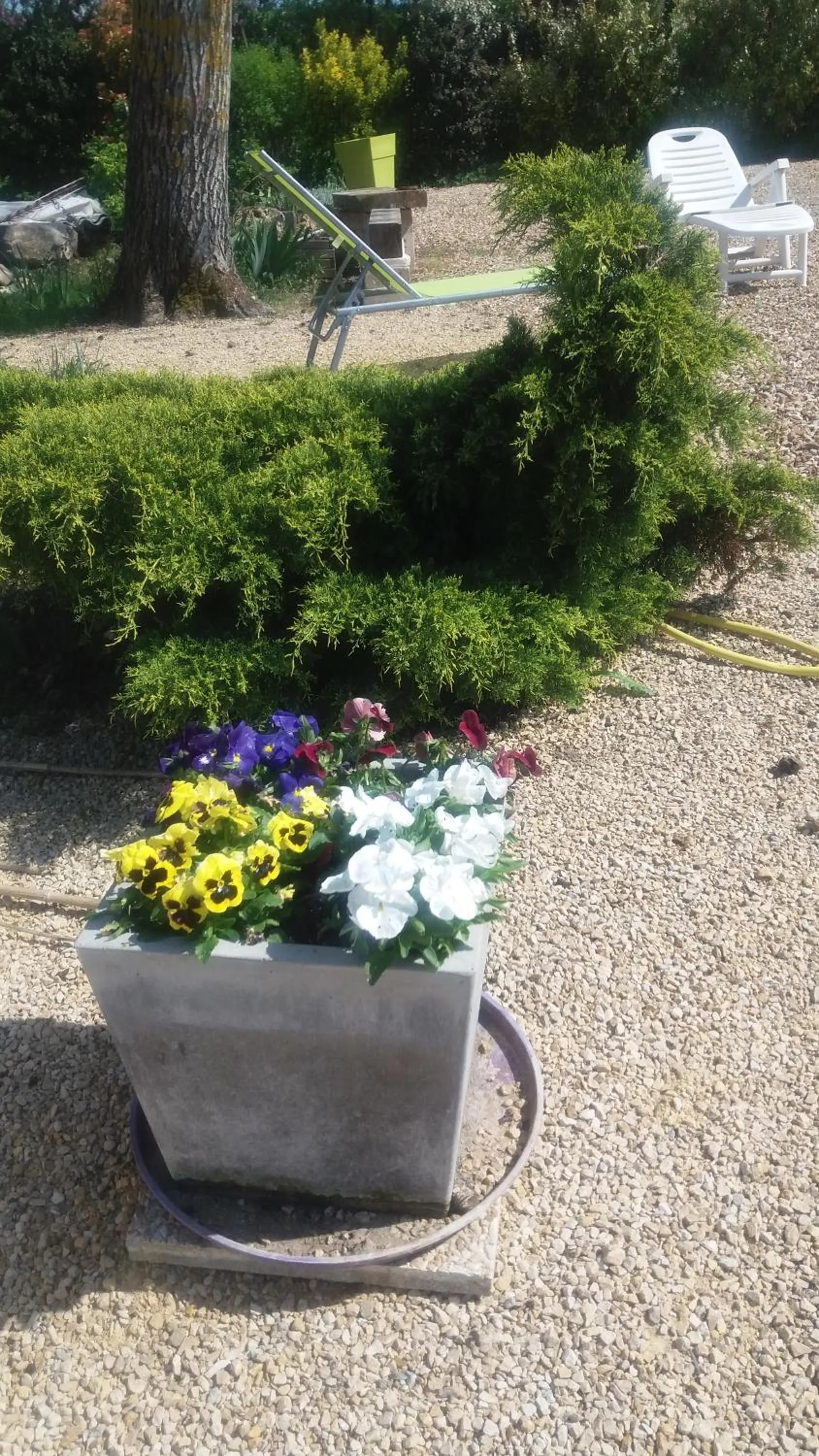 Garden in Chambre d'Hôtes Les Orchidées FUTUROSCOPE CHASSENEUIL POITIERS