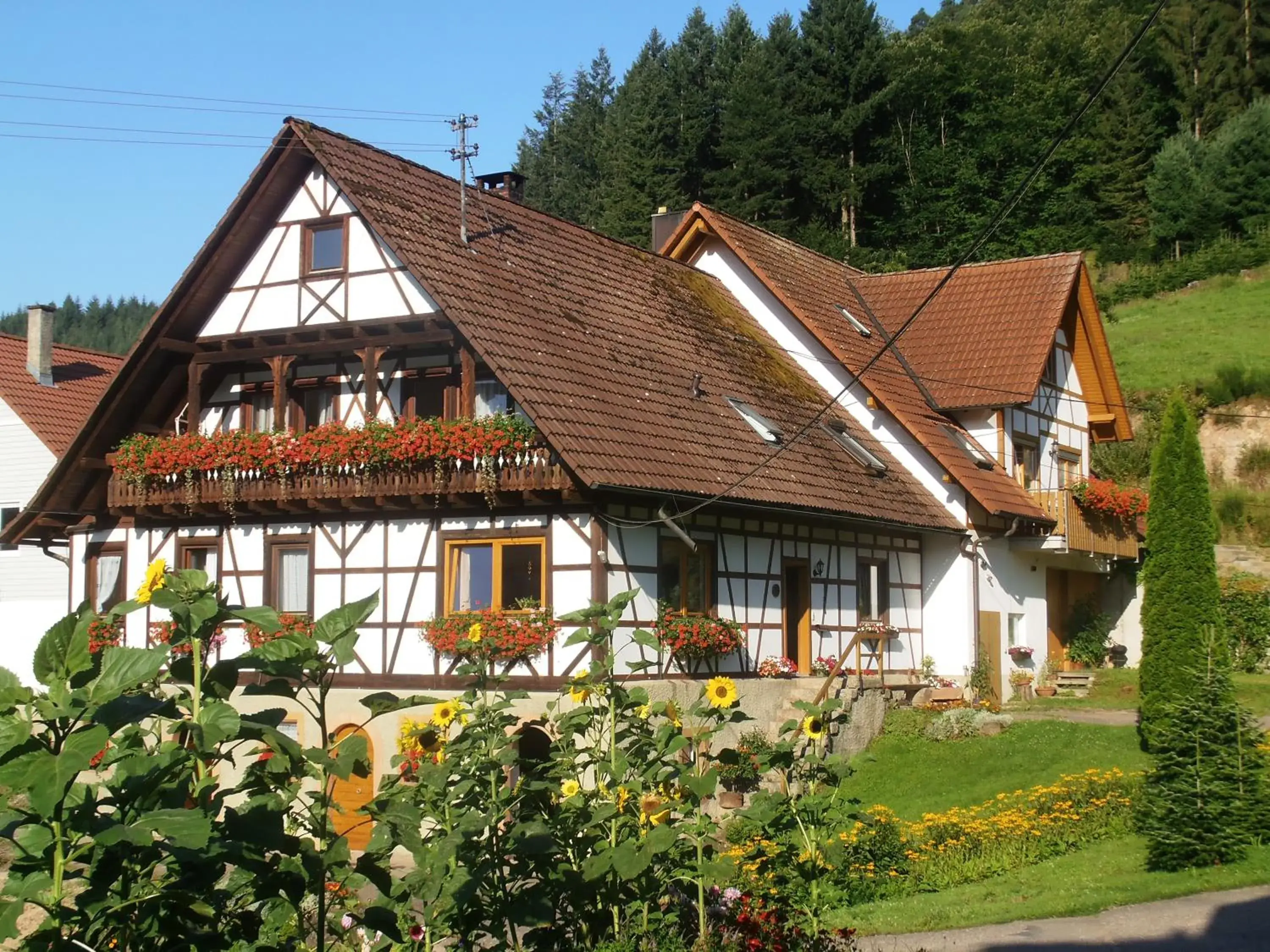Steinhof Steinhof