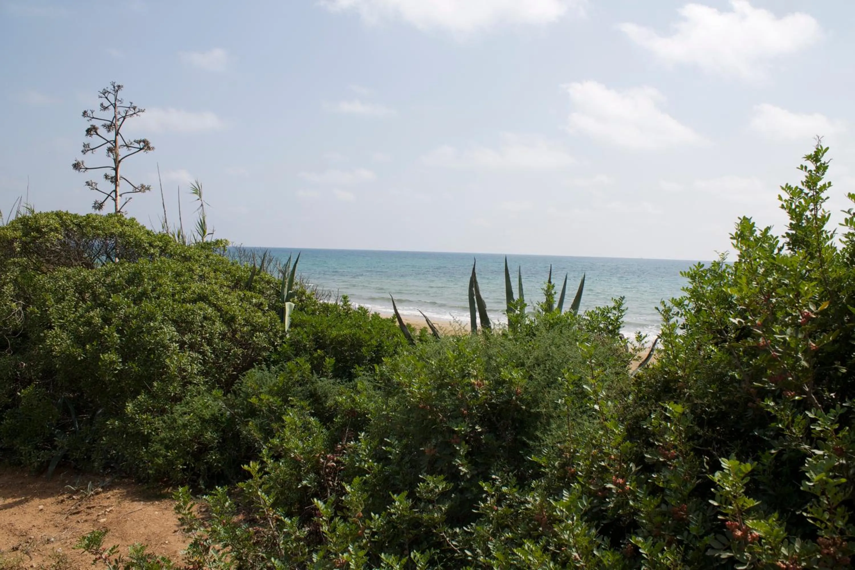 Beach in Villa Porto Ulisse