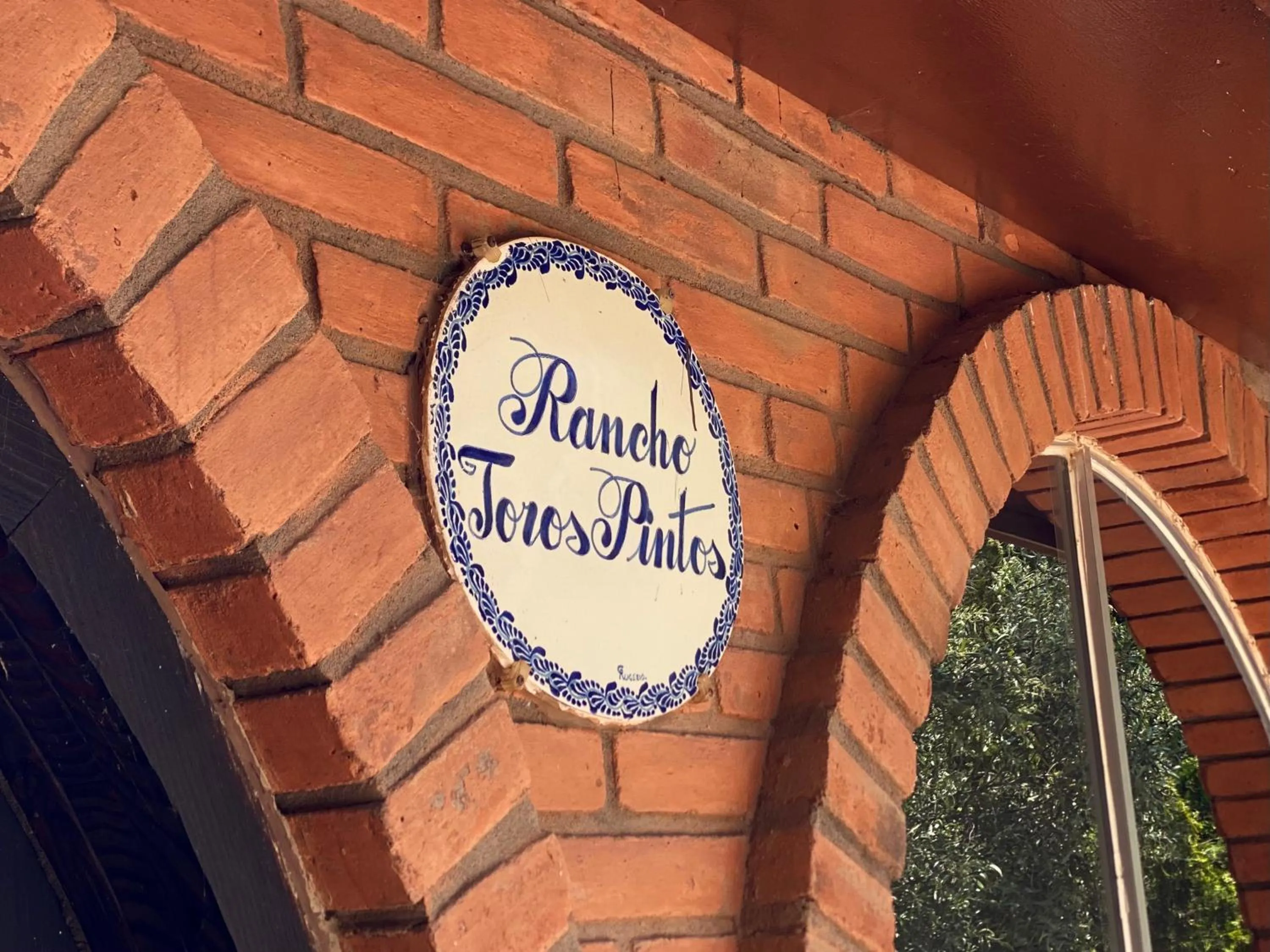 Day in Rancho Toros Pintos