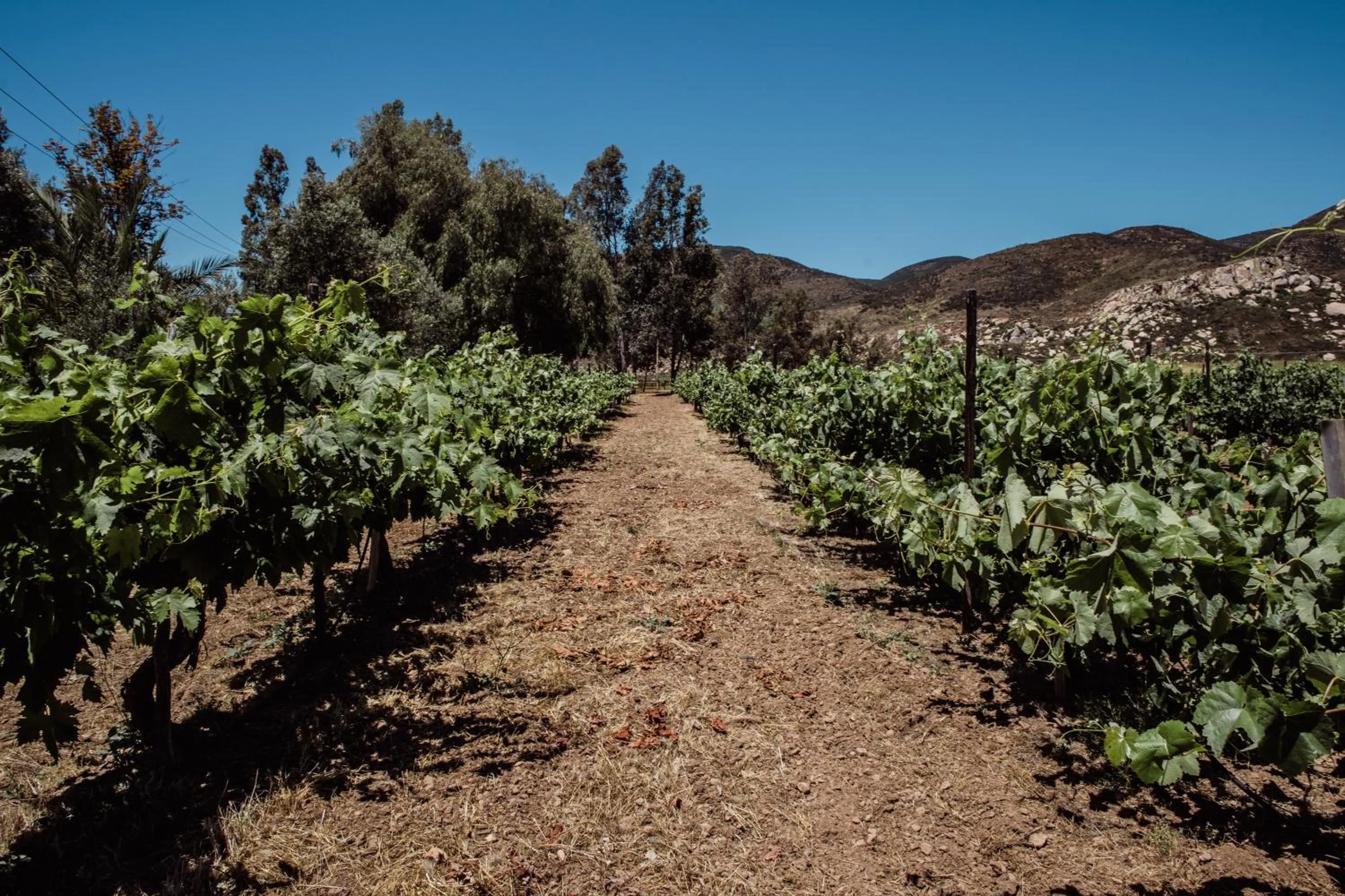 Nearby landmark in Rancho Toros Pintos
