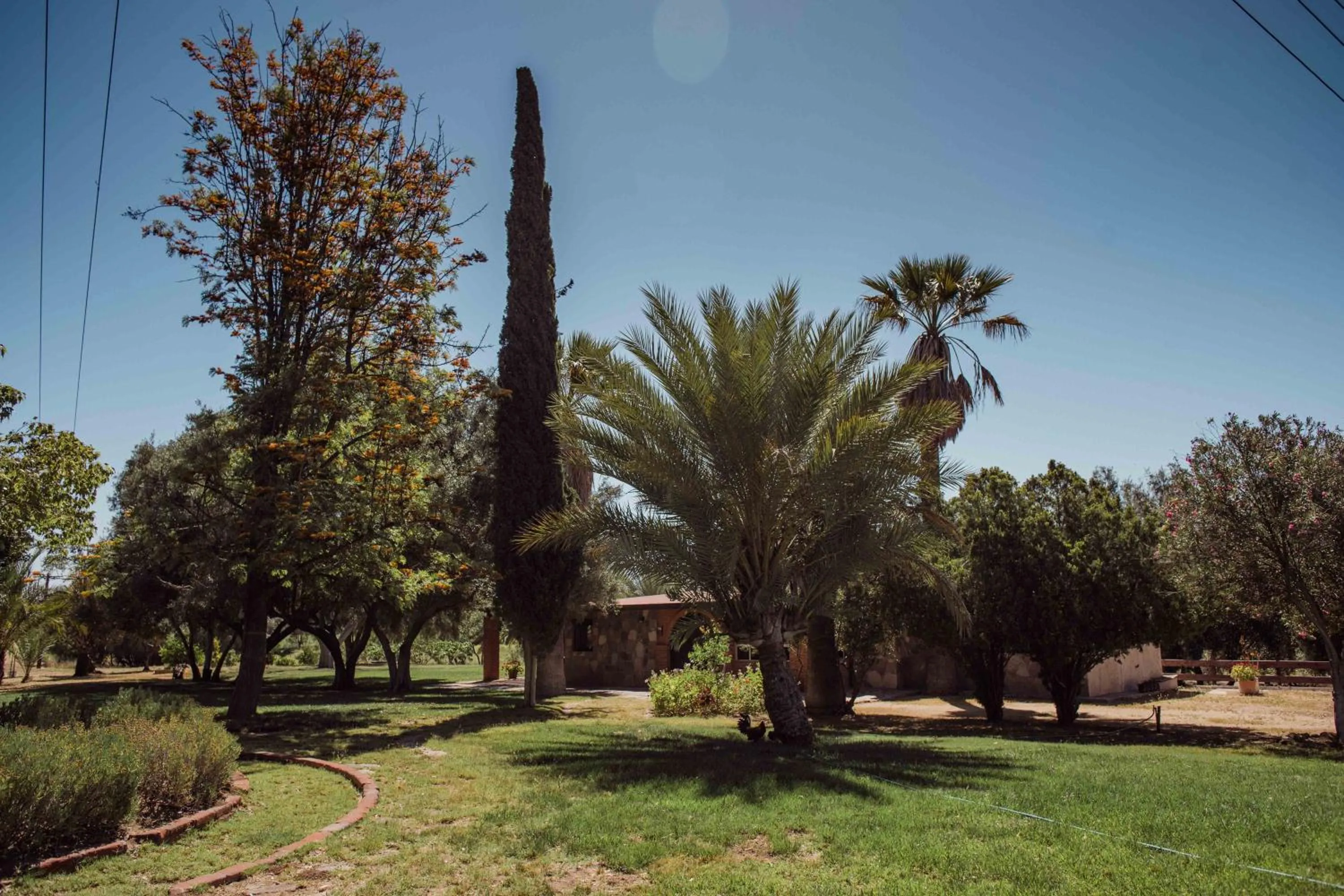View (from property/room) in Rancho Toros Pintos