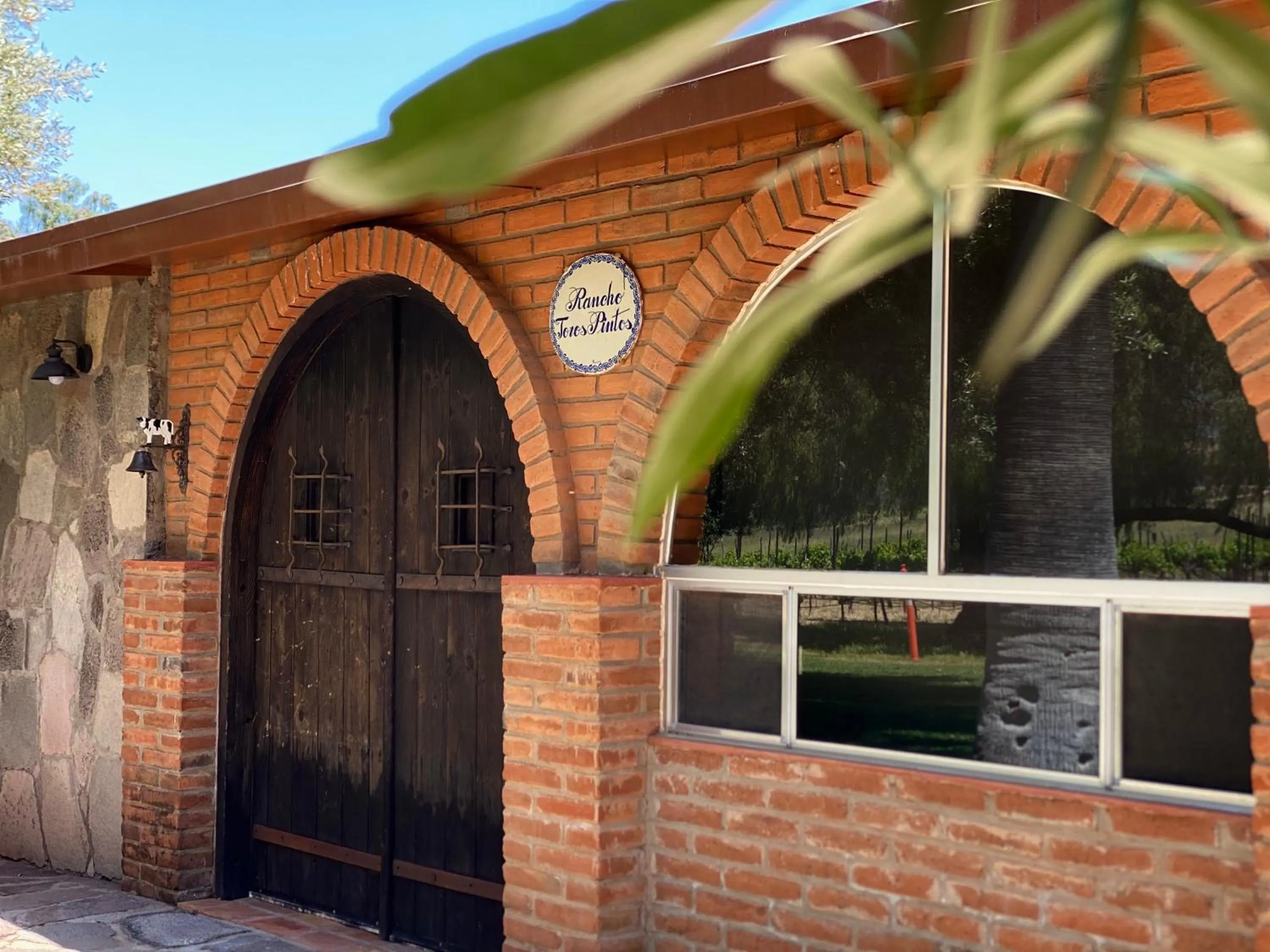 Day in Rancho Toros Pintos