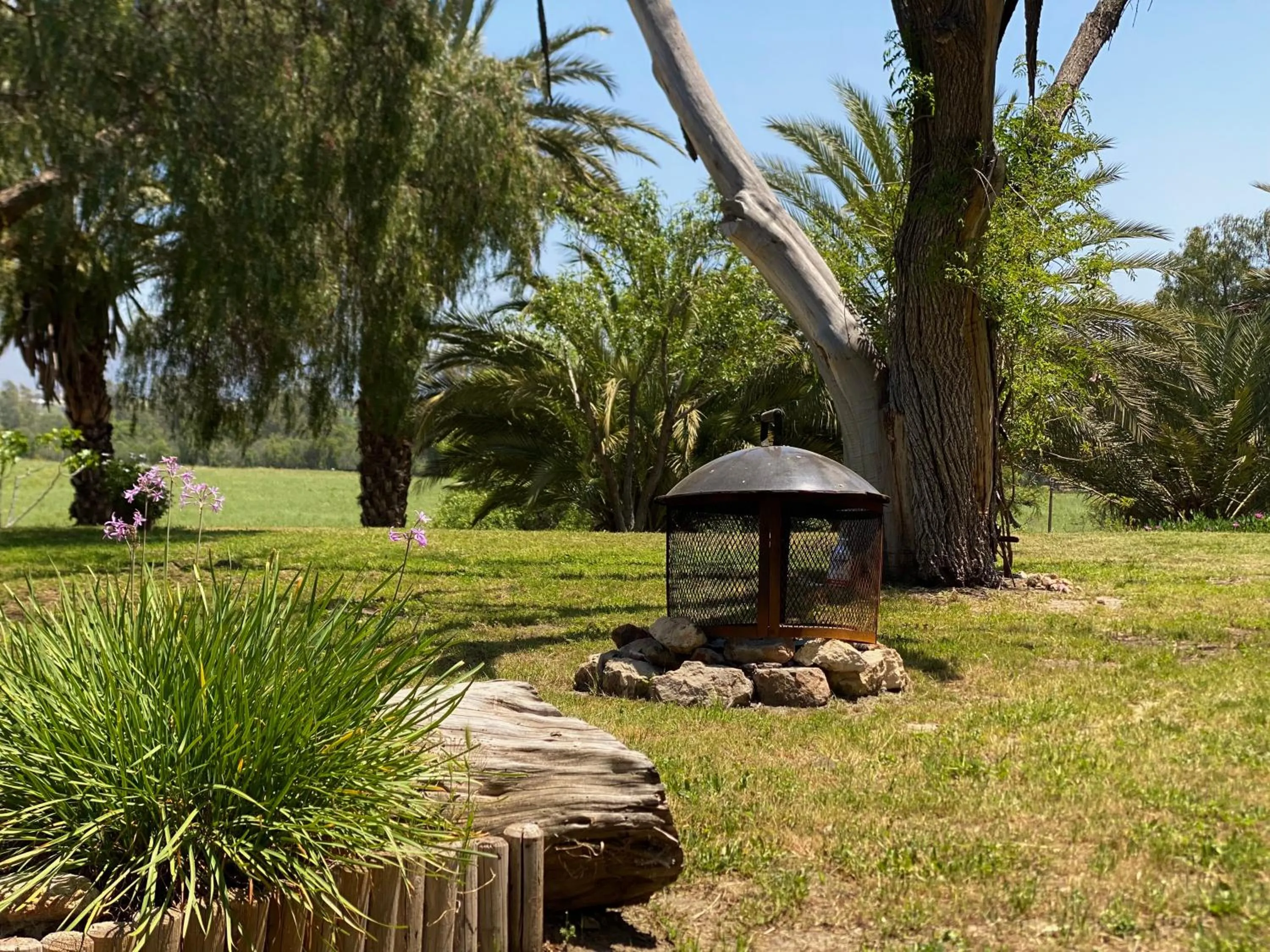 Spring in Rancho Toros Pintos