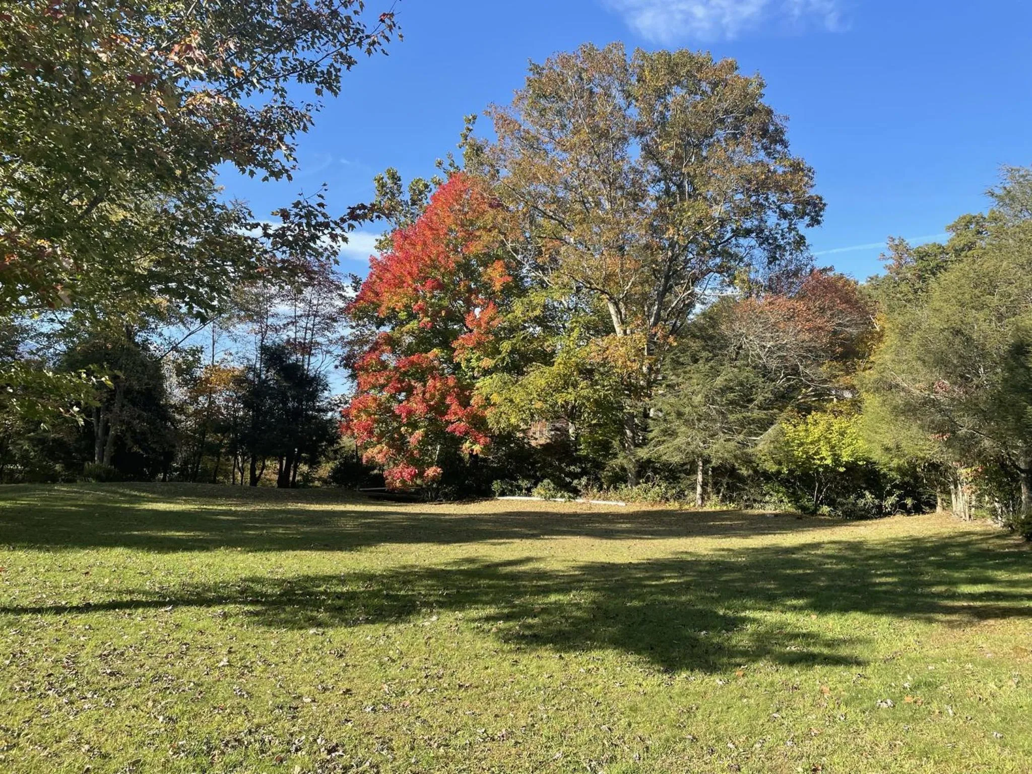 Natural landscape in Mt Mitchell Cabin Rentals
