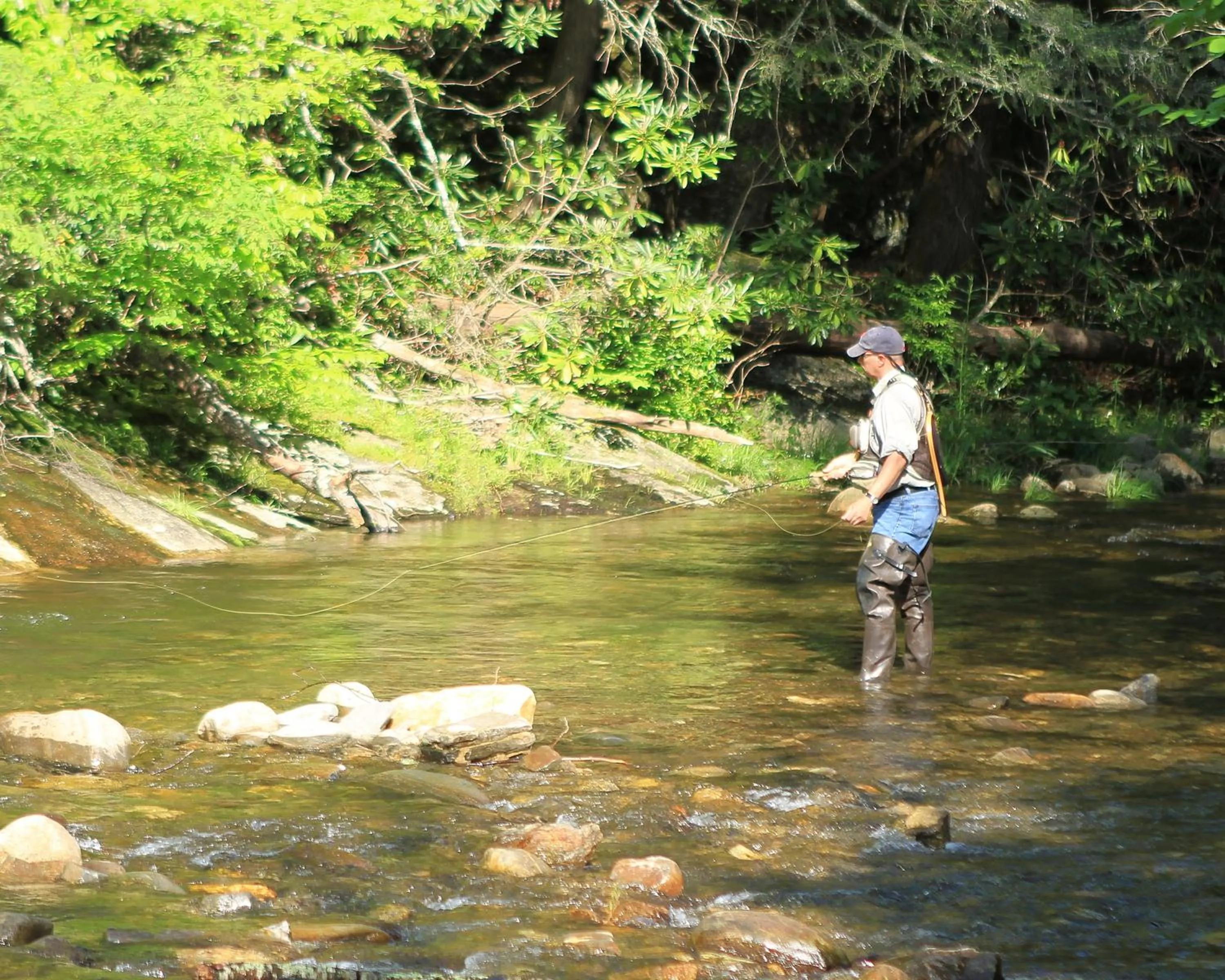 Fishing in Mt Mitchell Cabin Rentals
