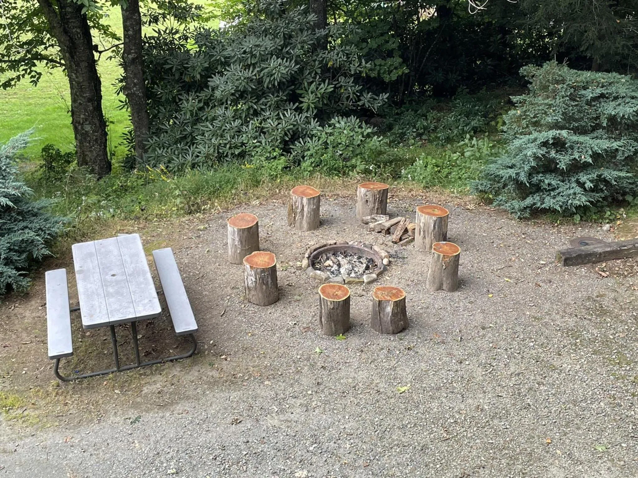 Day in Mt Mitchell Cabin Rentals