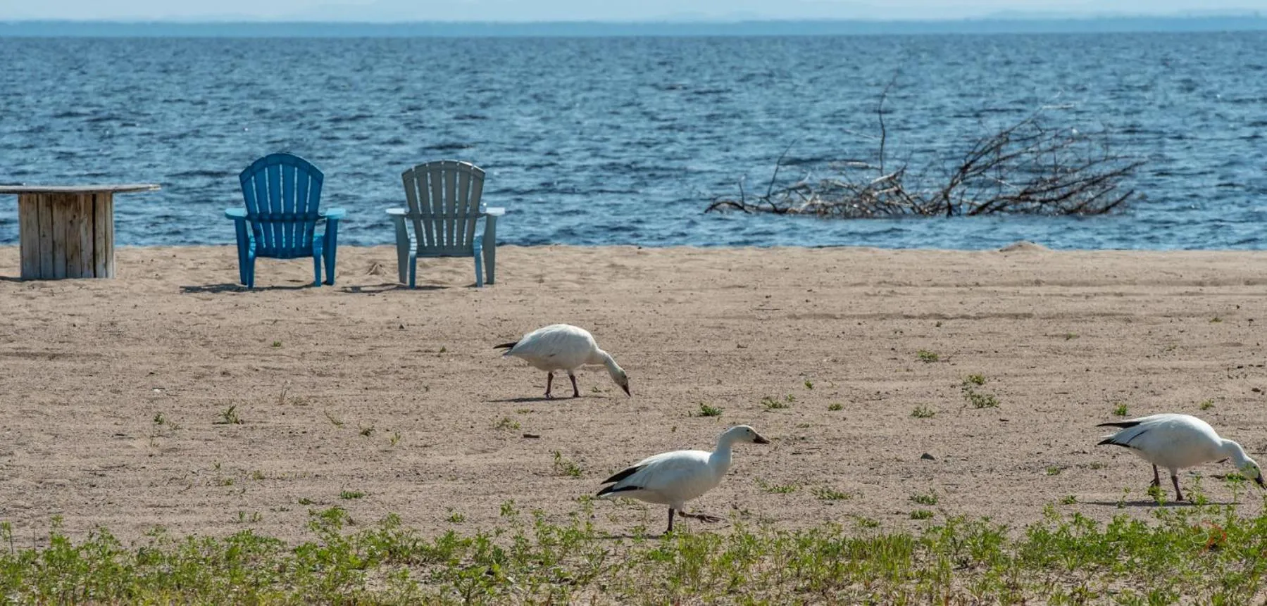 Domaine sur une plage