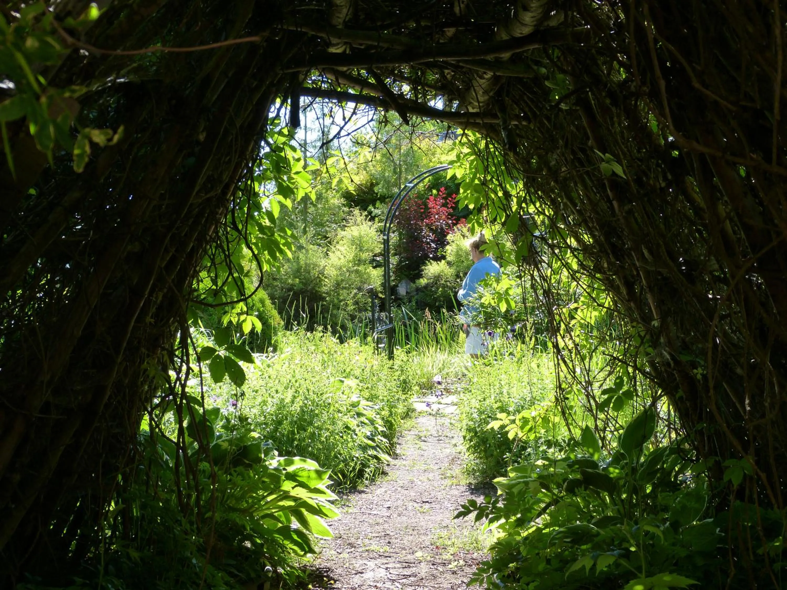 Garden in Domaine sur une plage