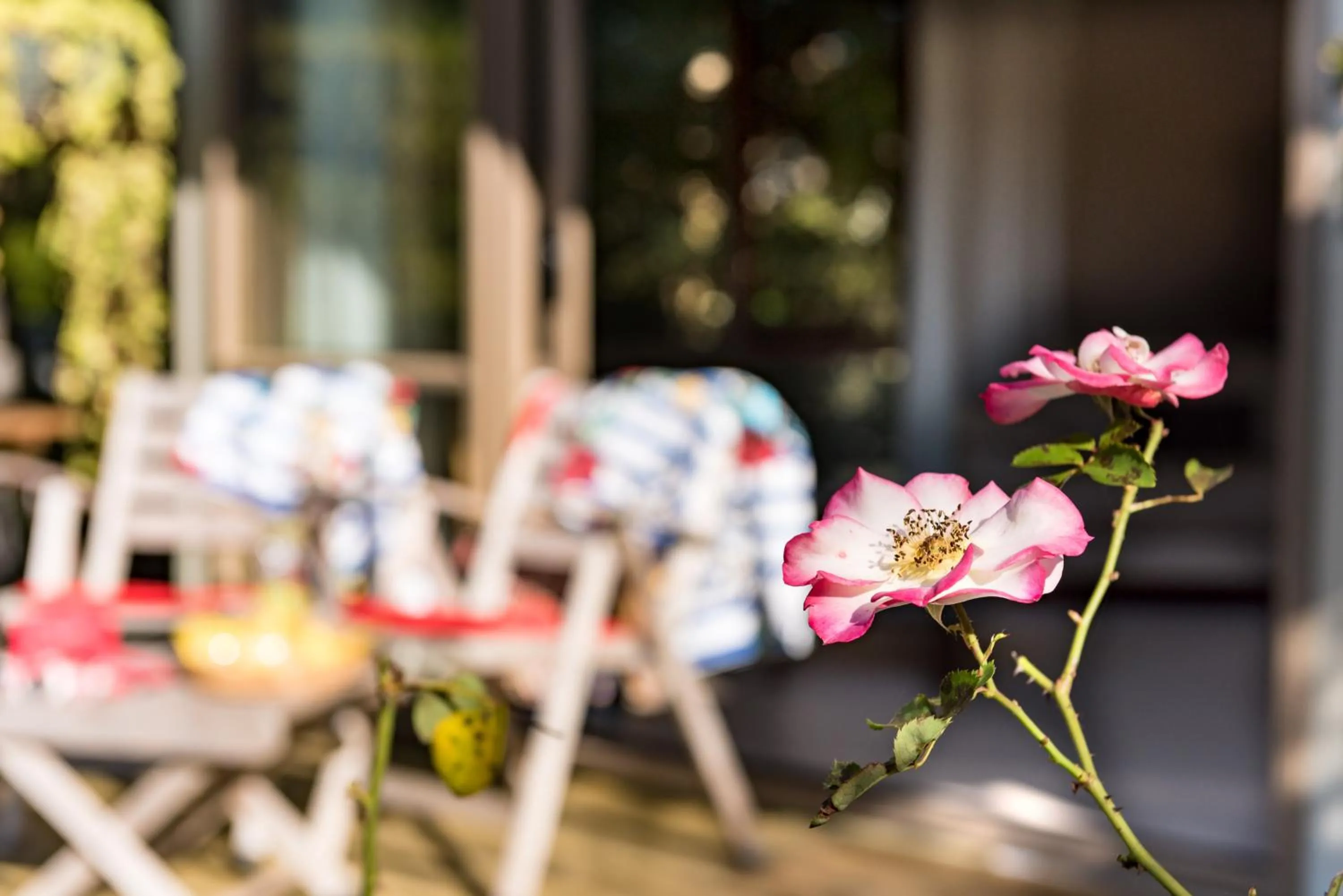 Spring in Craicor Boutique Apartments