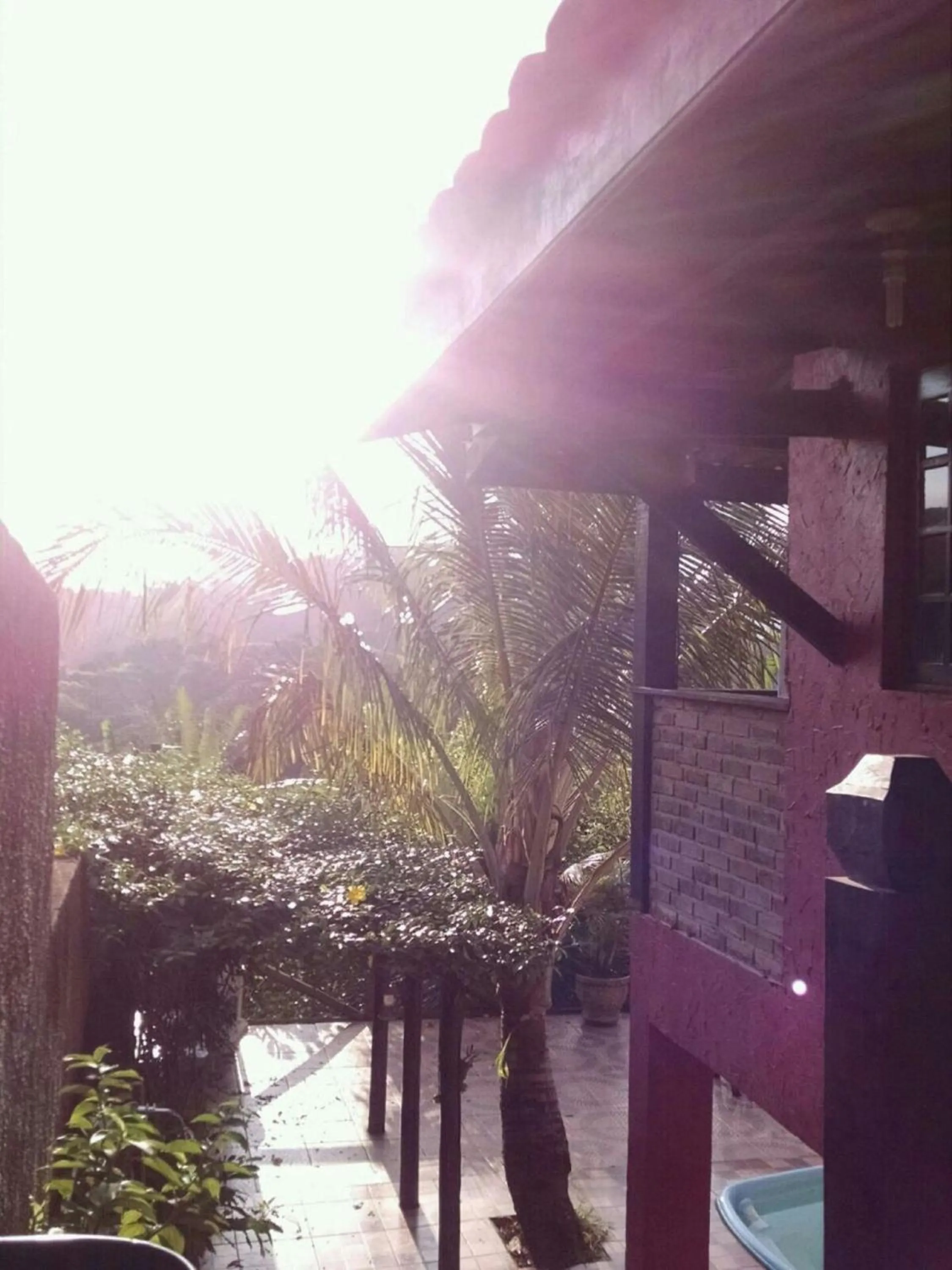Property building in Suites Canto dos Passaros