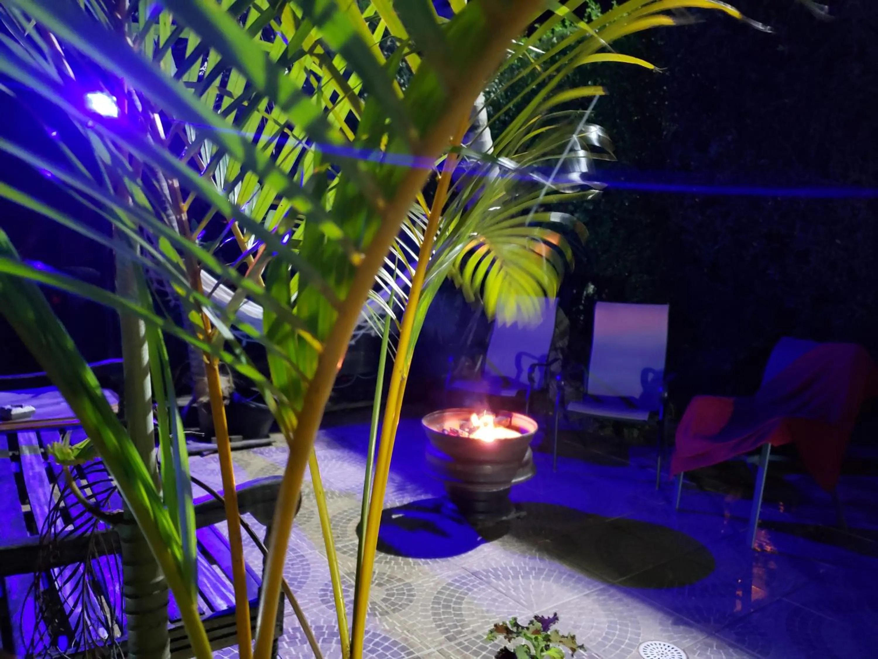 Suites Canto dos Passaros