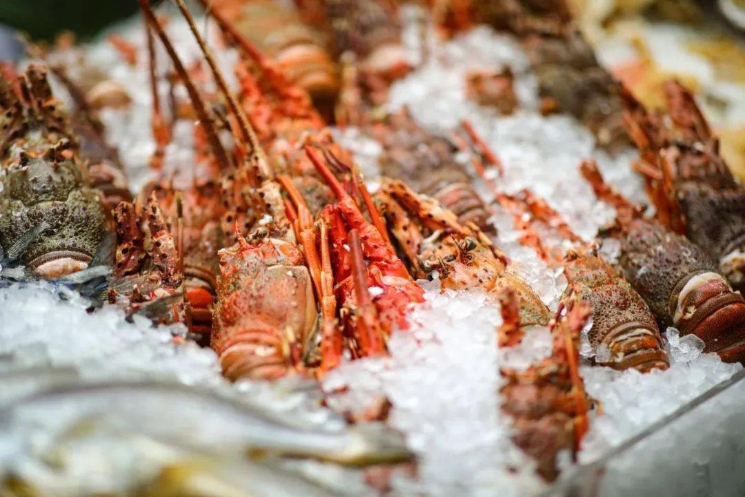 Restaurant/places to eat in Vignette Collection Palm Springs Hotel Chengdu by IHG