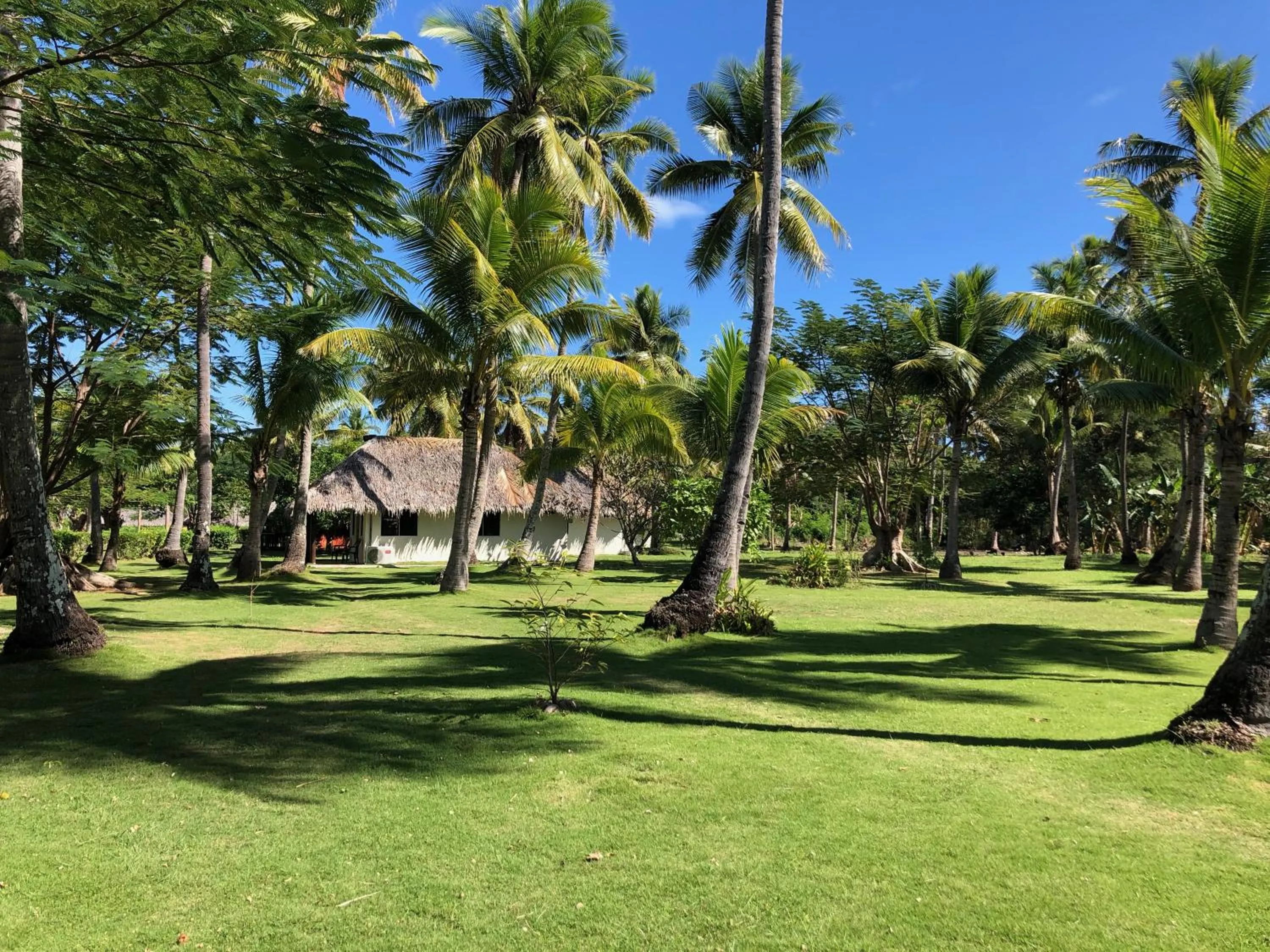 Garden in Belo Vula Island Resort Pte Limited