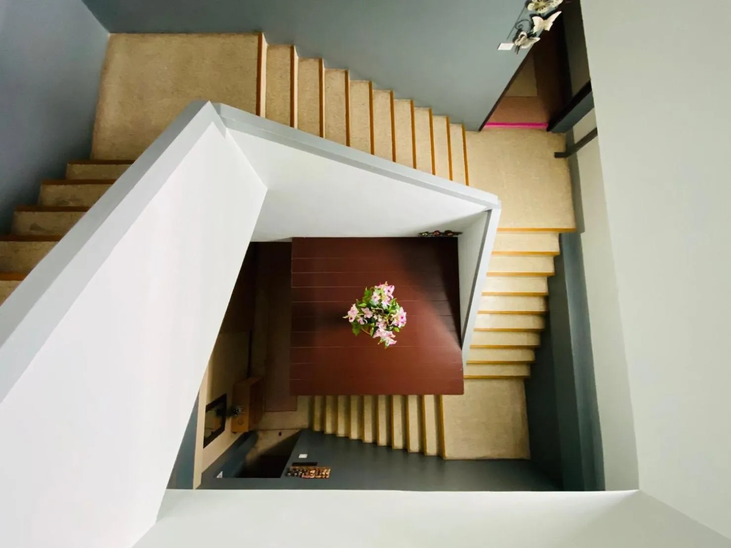 Property building in Phang Nga Guesthouse