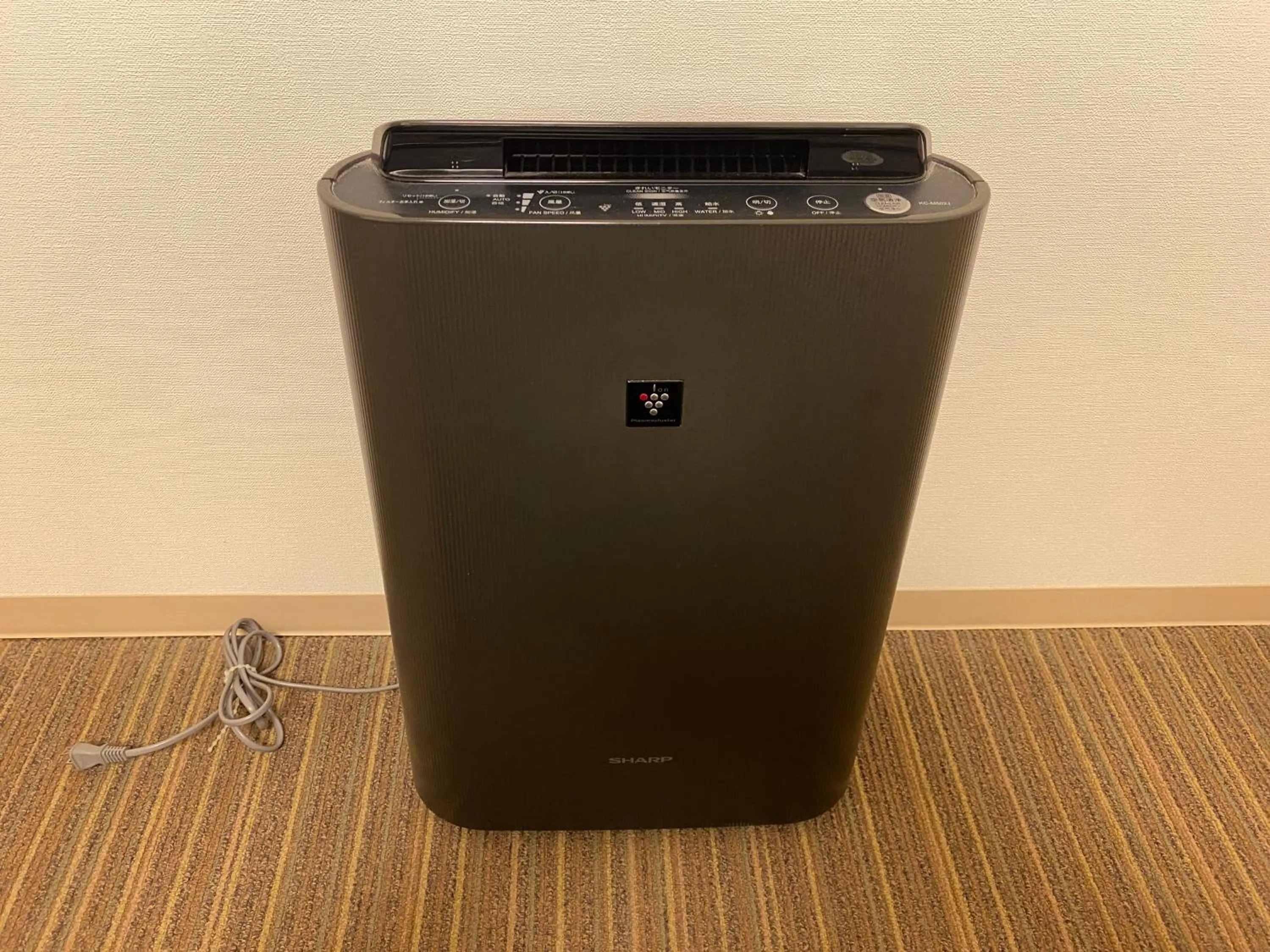 Other in Smile Hotel Shirakawa